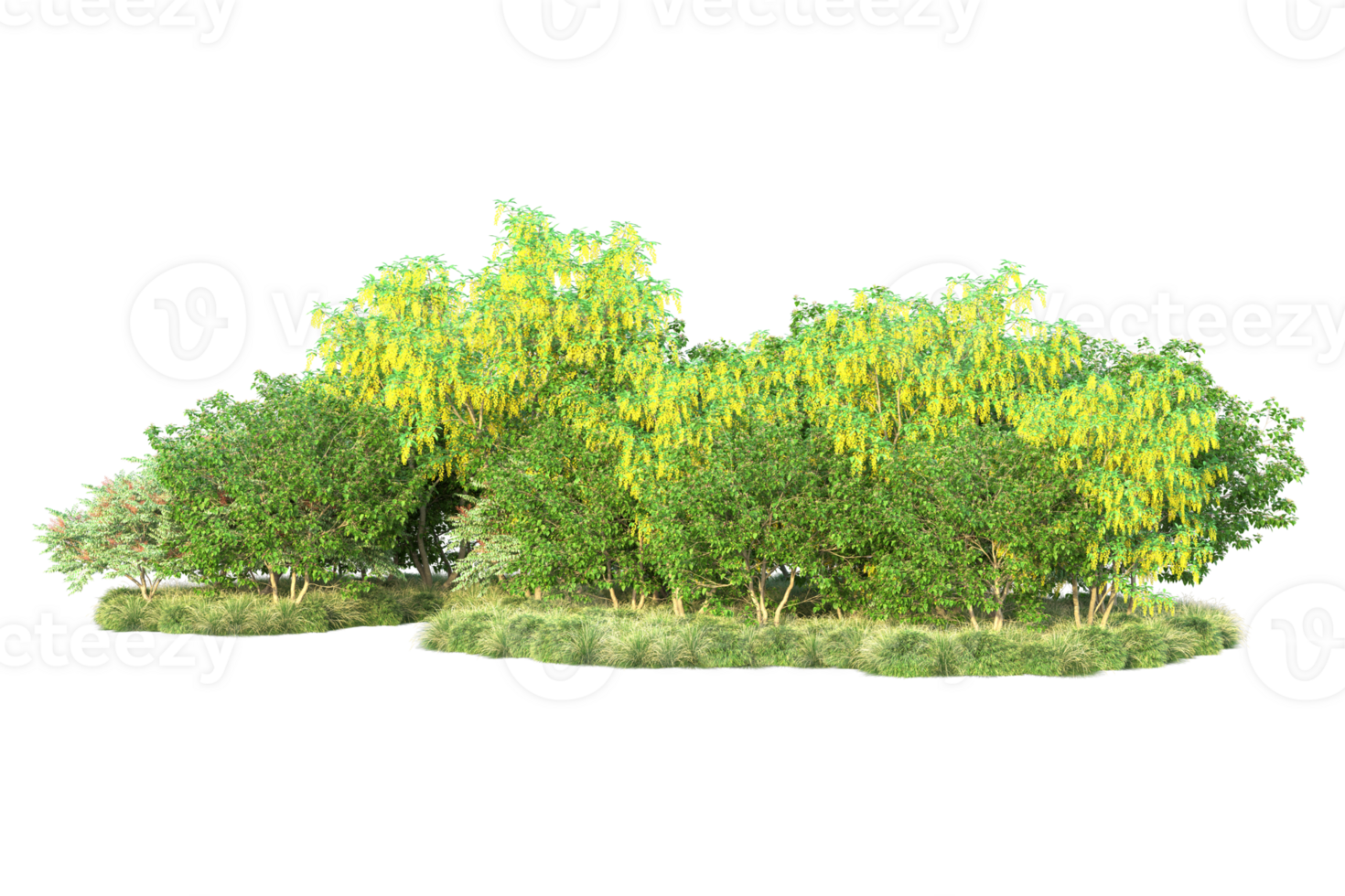 Tropical forest isolated on transparent background. 3d rendering - illustration png