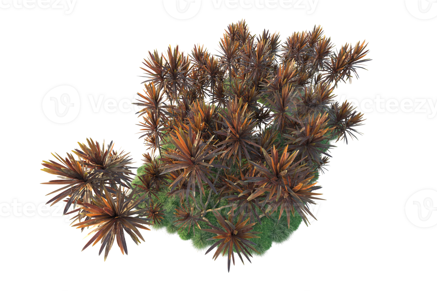 Tropical forest isolated on transparent background. 3d rendering - illustration png