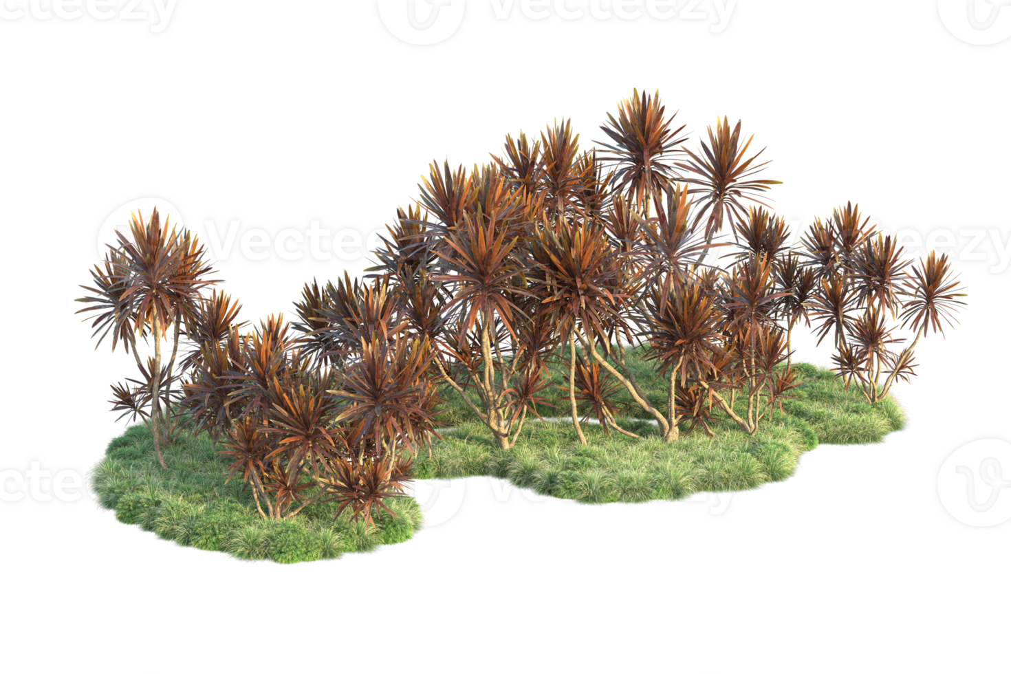 Tropical forest isolated on transparent background. 3d rendering - illustration png