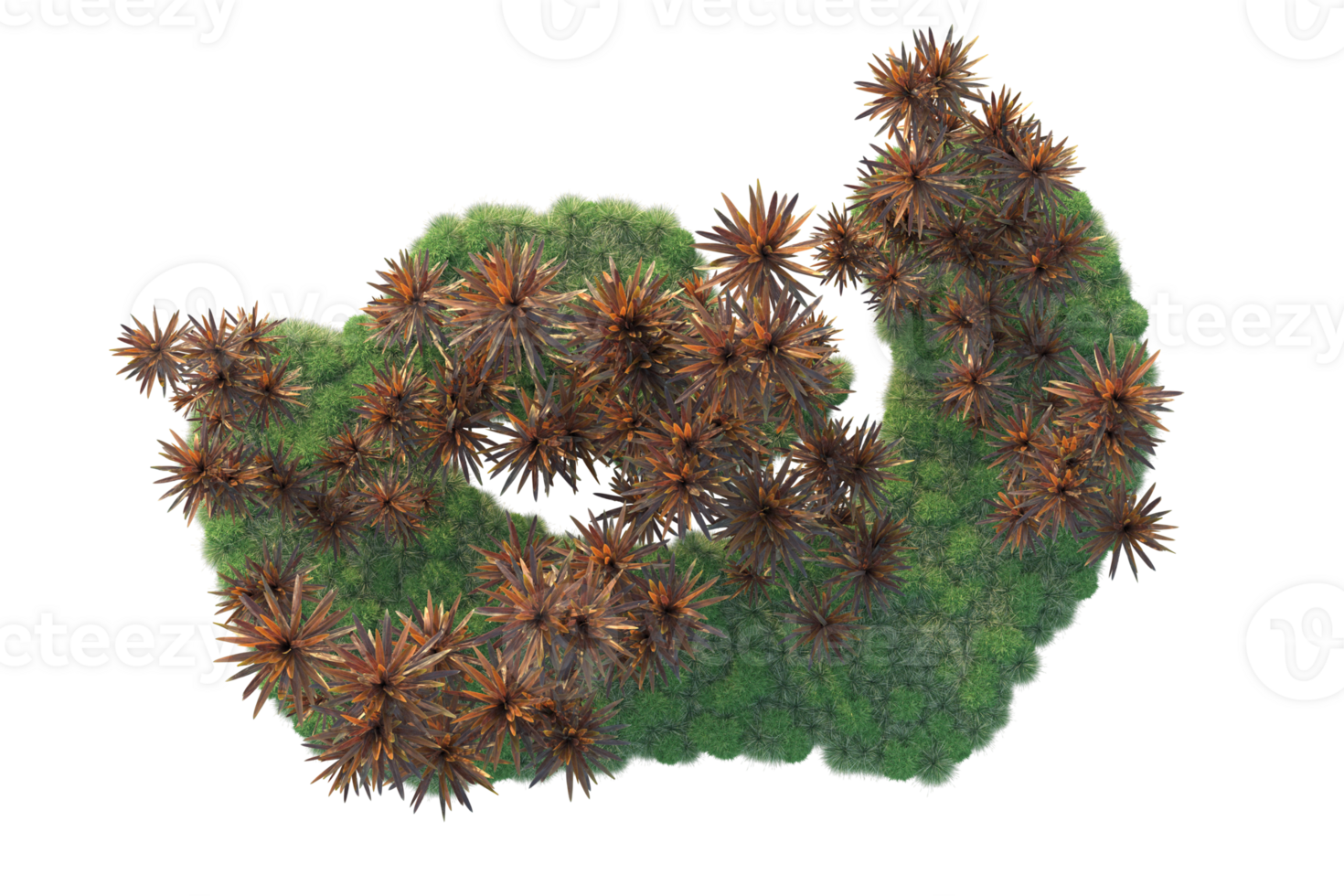 Tropical forest isolated on transparent background. 3d rendering - illustration png