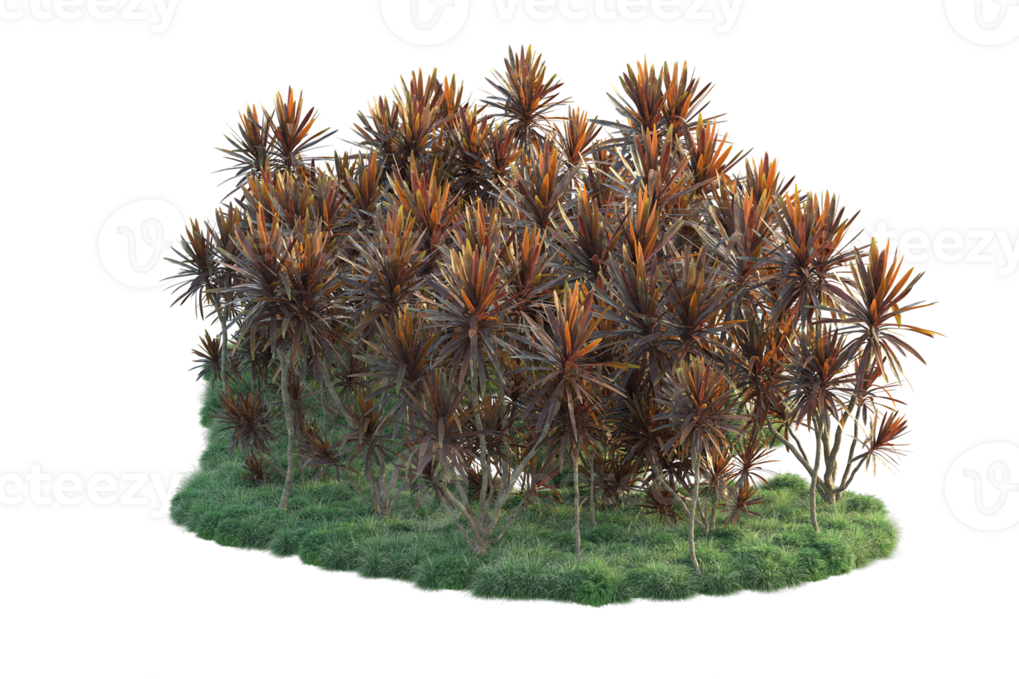 Tropical forest isolated on transparent background. 3d rendering - illustration png
