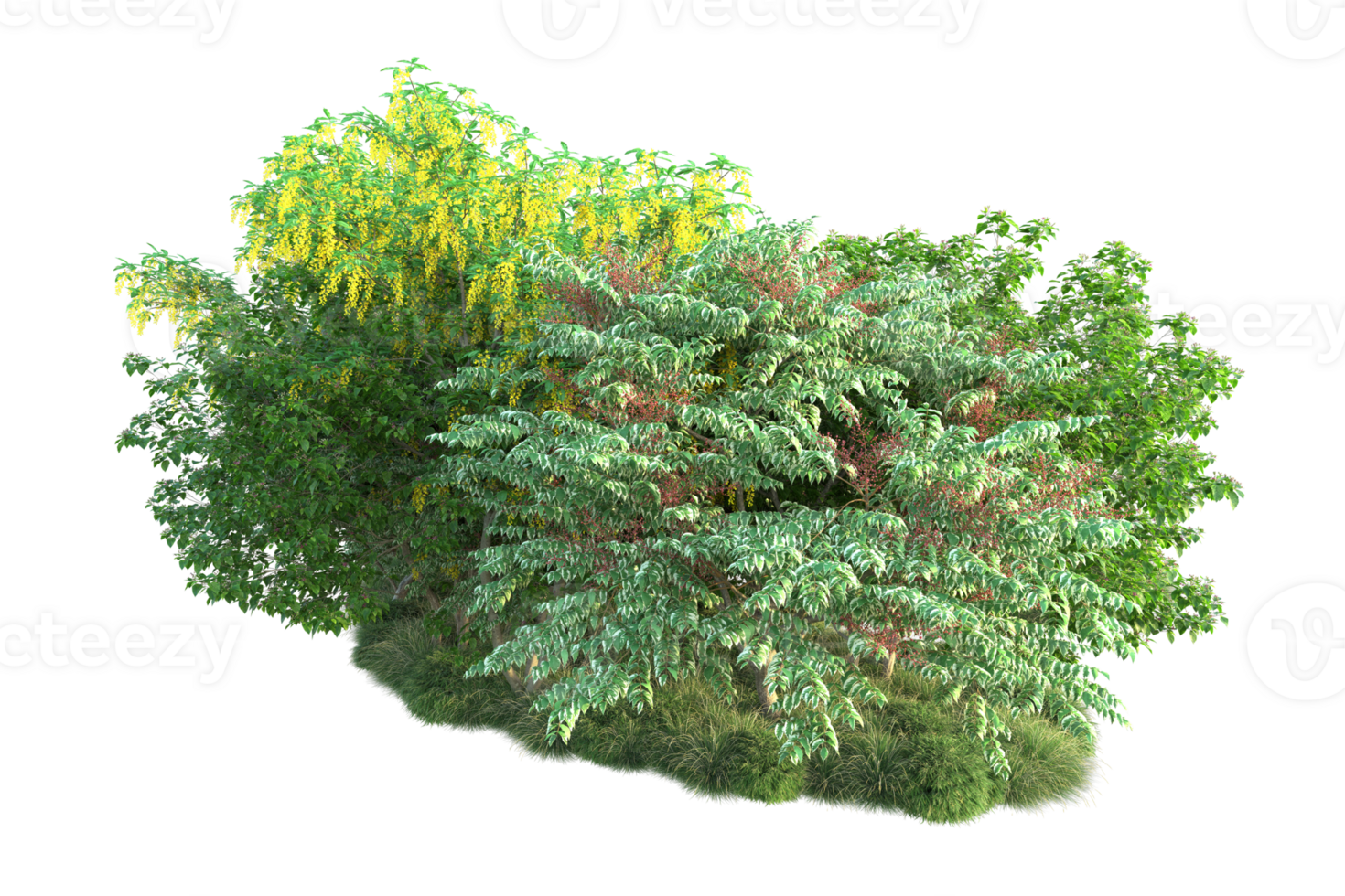 Tropical forest isolated on transparent background. 3d rendering - illustration png