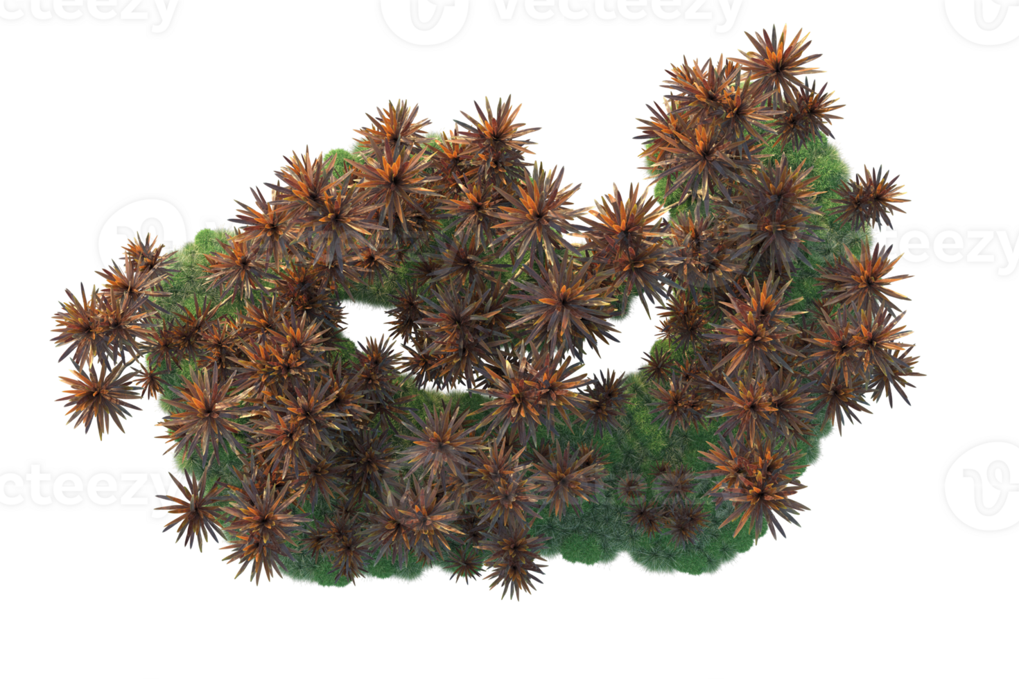 Tropical forest isolated on transparent background. 3d rendering - illustration png