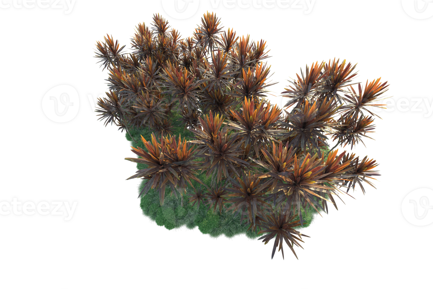 Tropical forest isolated on transparent background. 3d rendering - illustration png
