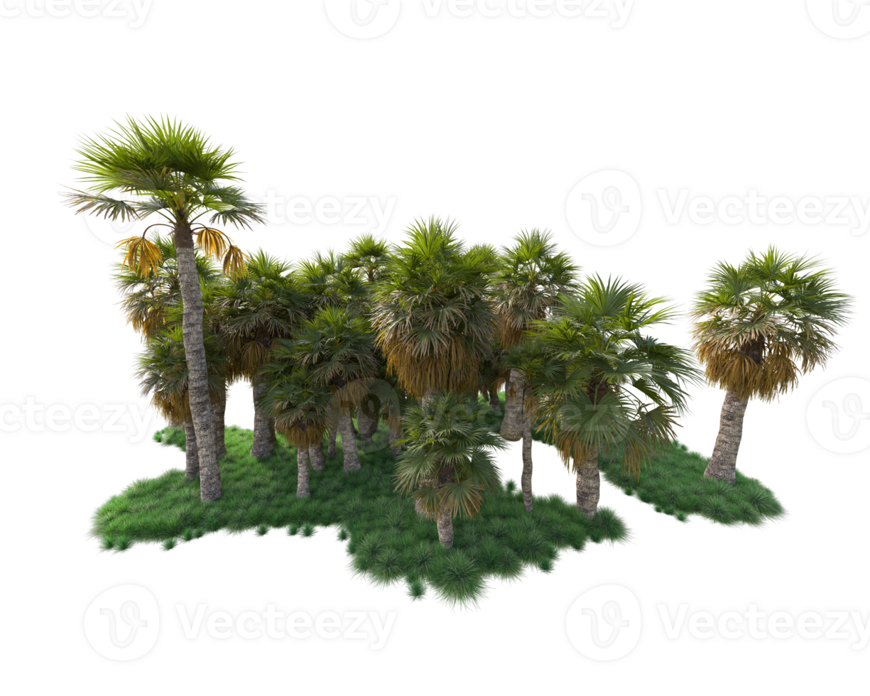 Tropical forest isolated on transparent background. 3d rendering - illustration png