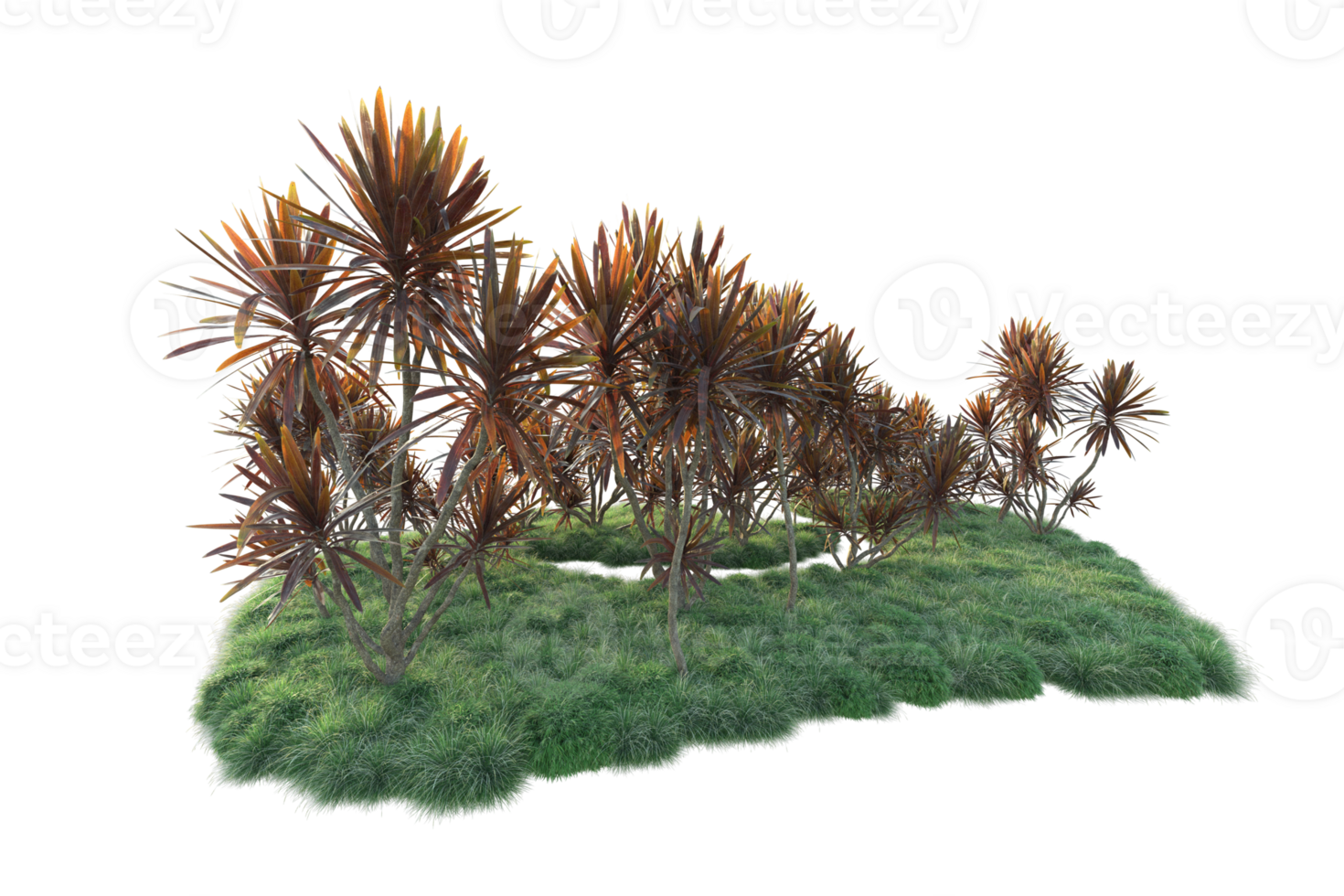 Tropical forest isolated on transparent background. 3d rendering - illustration png