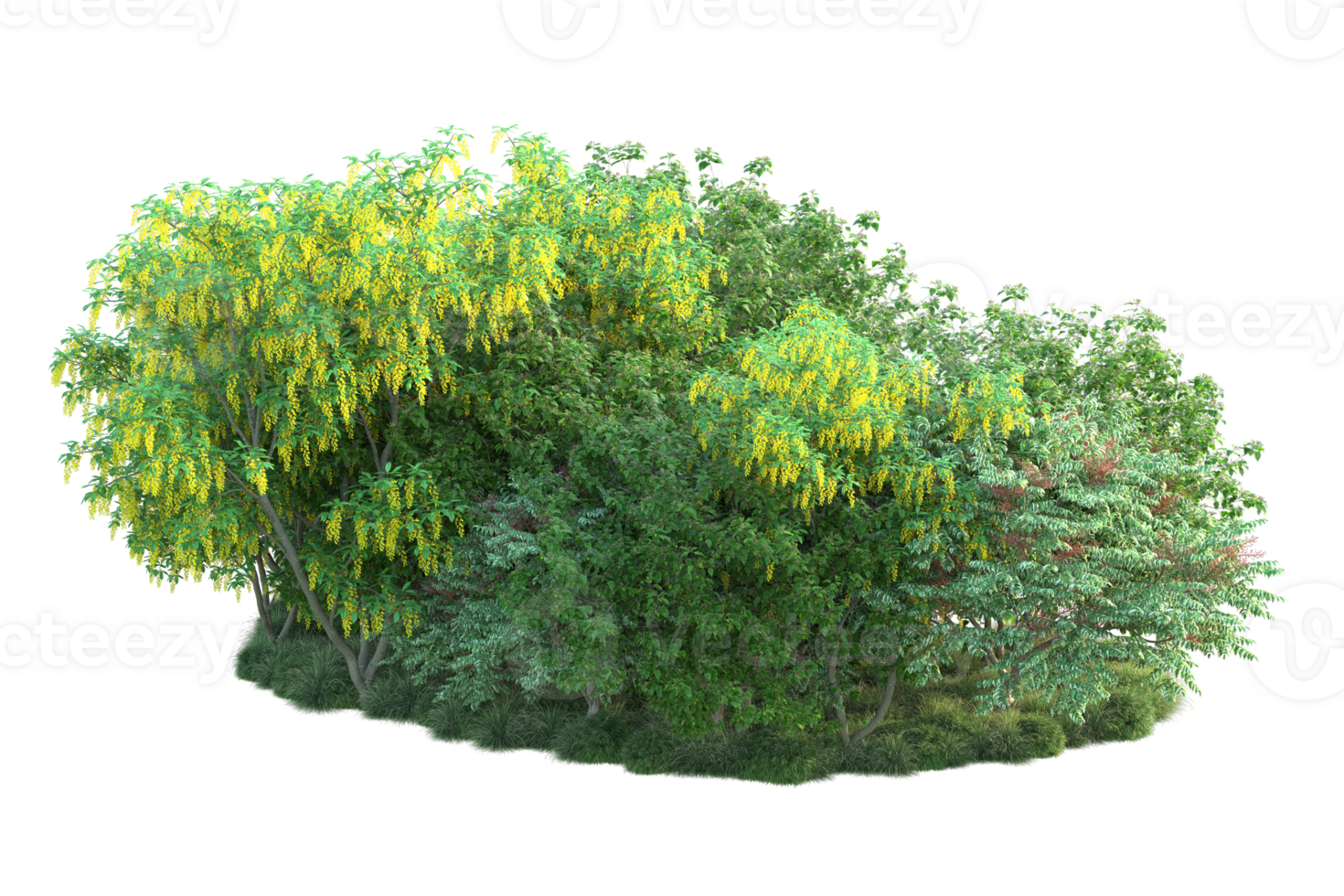 Tropical forest isolated on transparent background. 3d rendering - illustration png