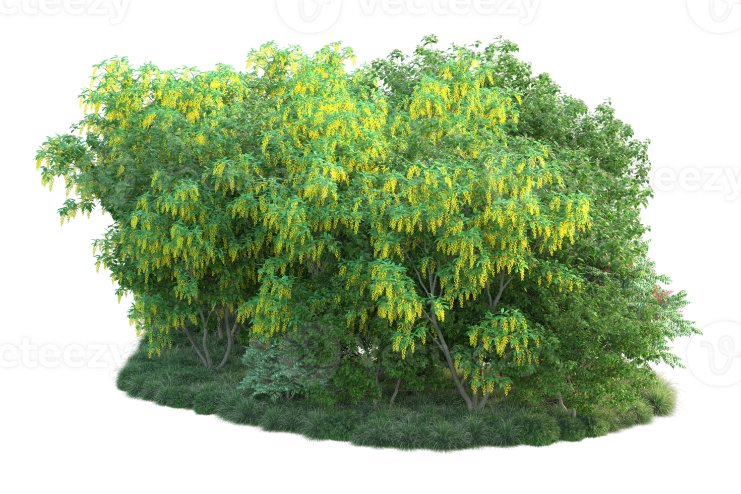 Tropical forest isolated on transparent background. 3d rendering - illustration png