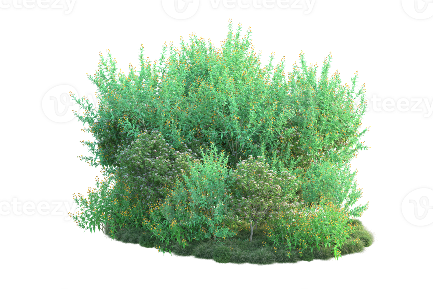 Tropical forest isolated on transparent background. 3d rendering - illustration png