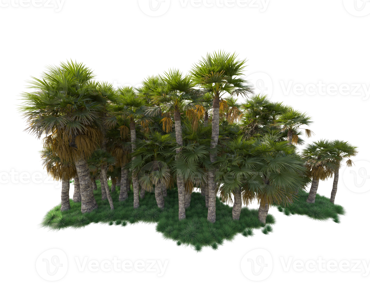 Tropical forest isolated on transparent background. 3d rendering - illustration png