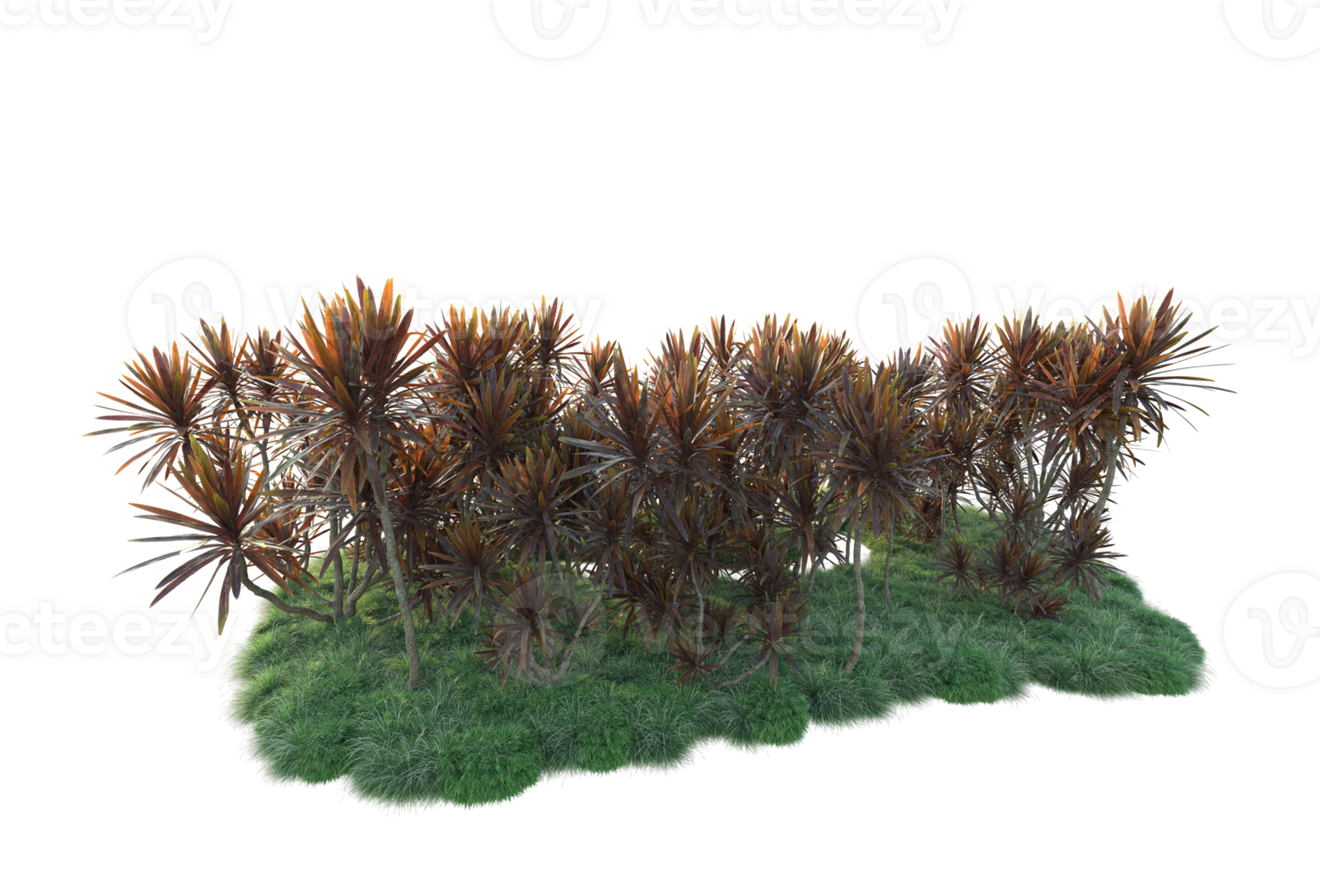 Tropical forest isolated on transparent background. 3d rendering - illustration png