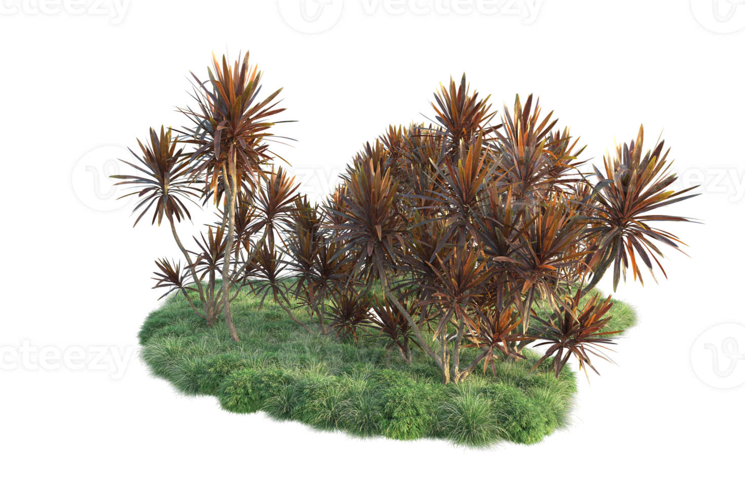 Tropical forest isolated on transparent background. 3d rendering - illustration png