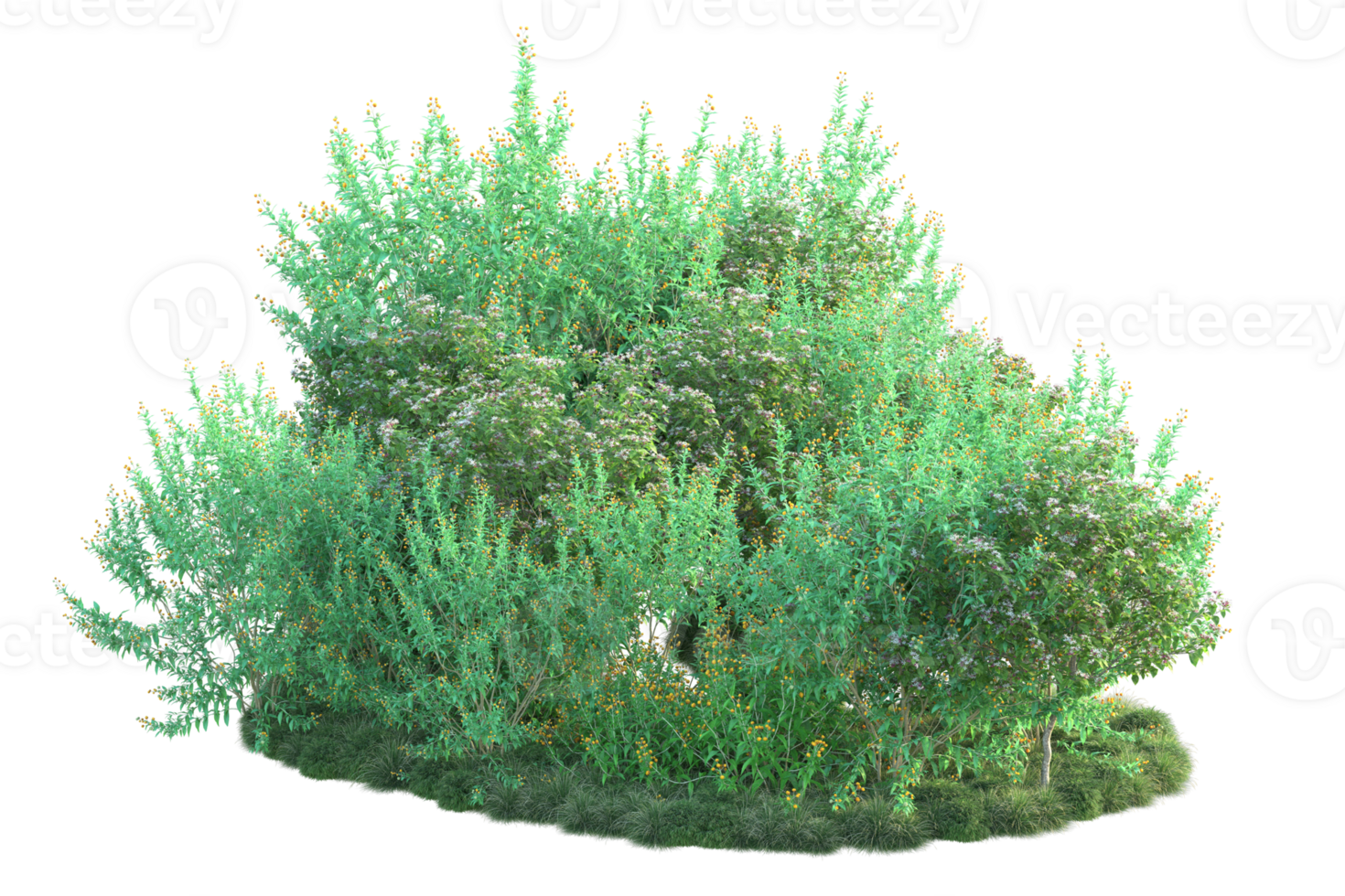 Tropical forest isolated on transparent background. 3d rendering - illustration png