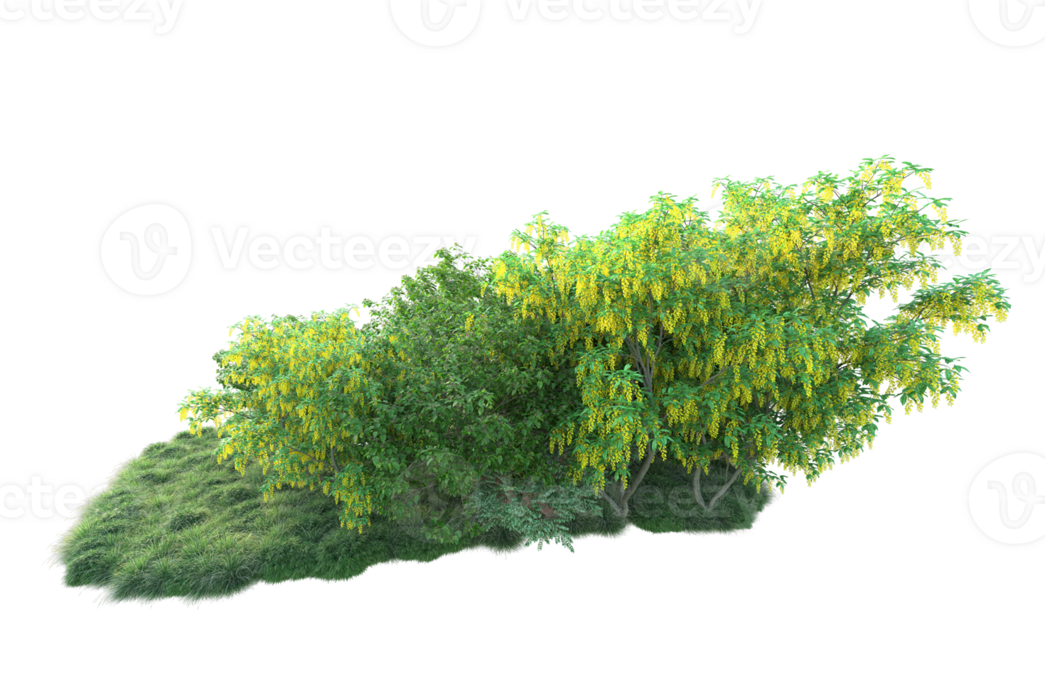 Tropical forest isolated on transparent background. 3d rendering - illustration png