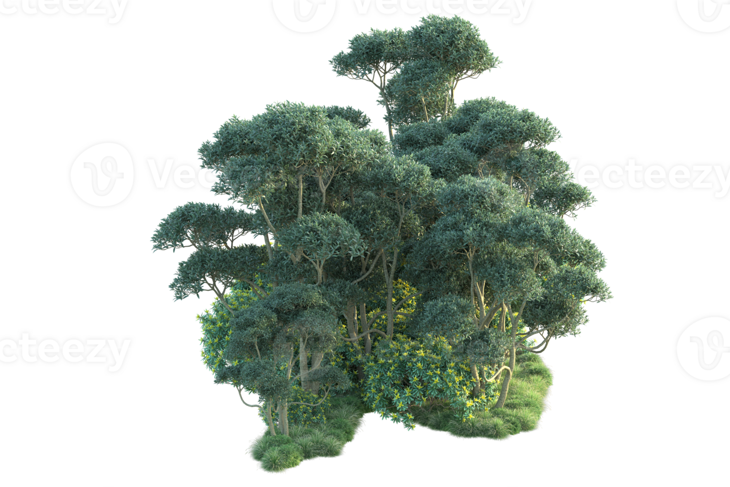 Tropical forest isolated on transparent background. 3d rendering - illustration png