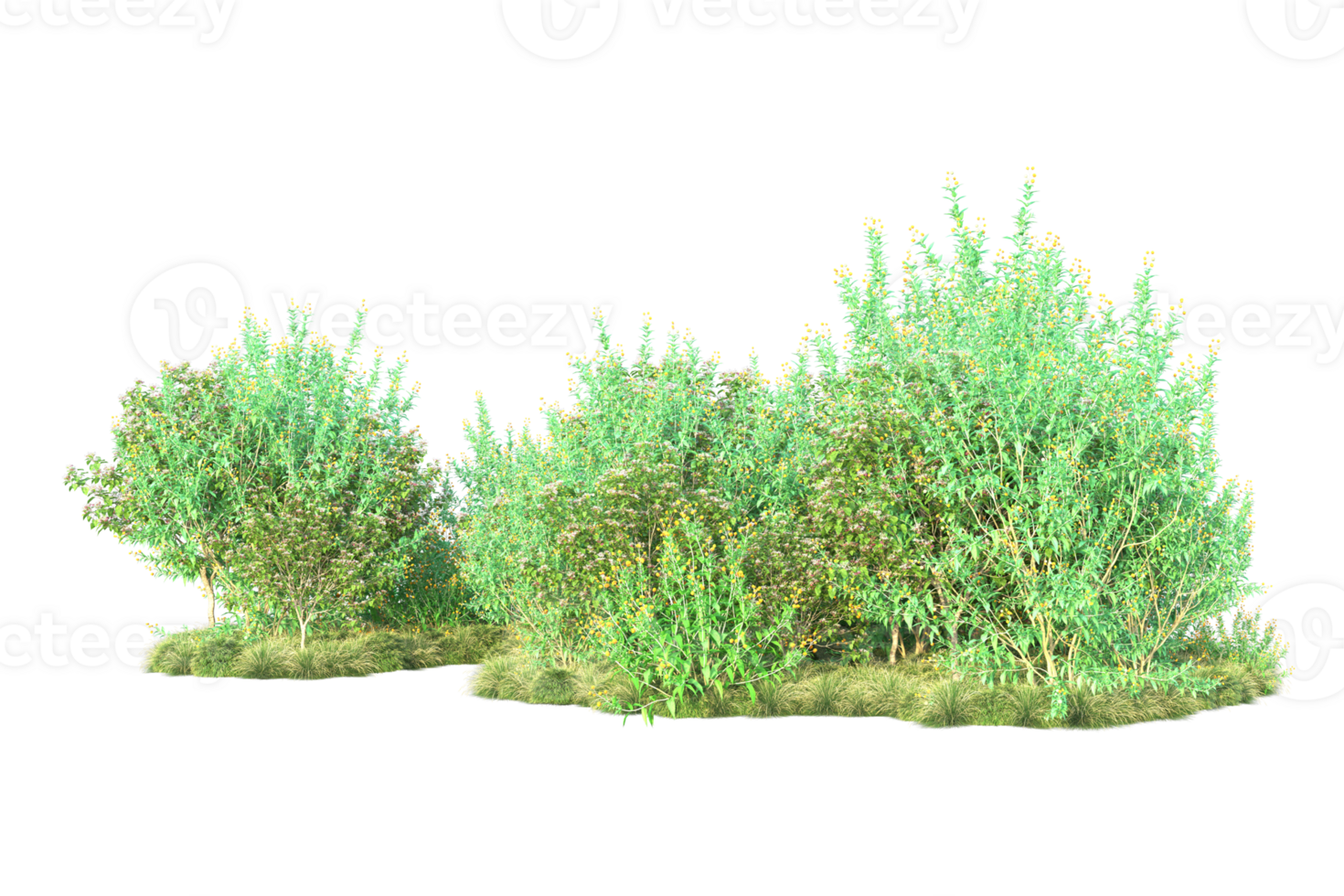 Tropical forest isolated on transparent background. 3d rendering - illustration png