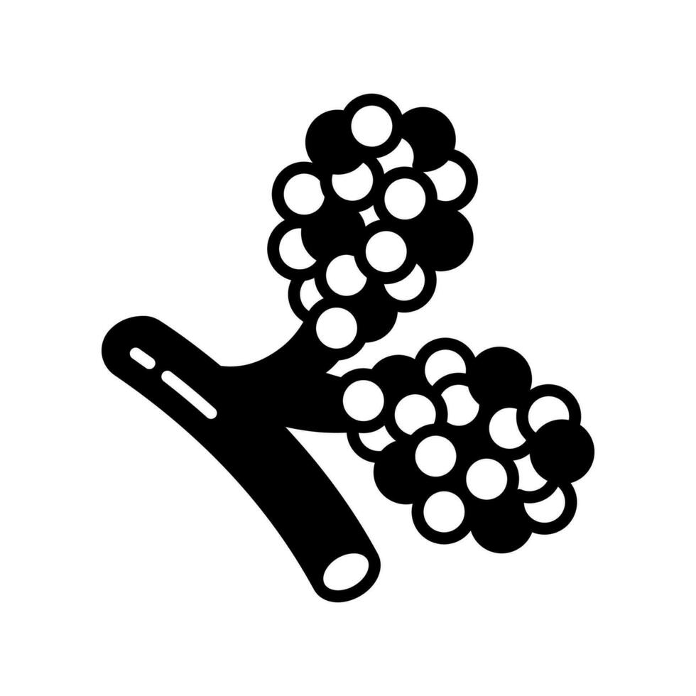 Respiratory Bronchioles icon in vector. Logotype vector