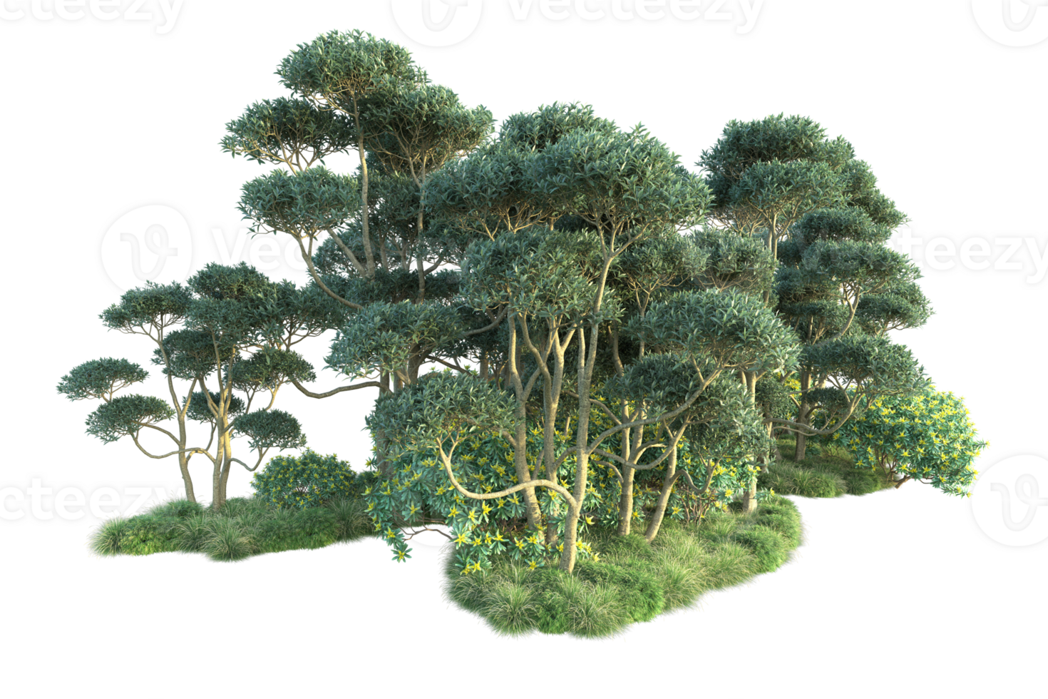 Tropical forest isolated on transparent background. 3d rendering - illustration png