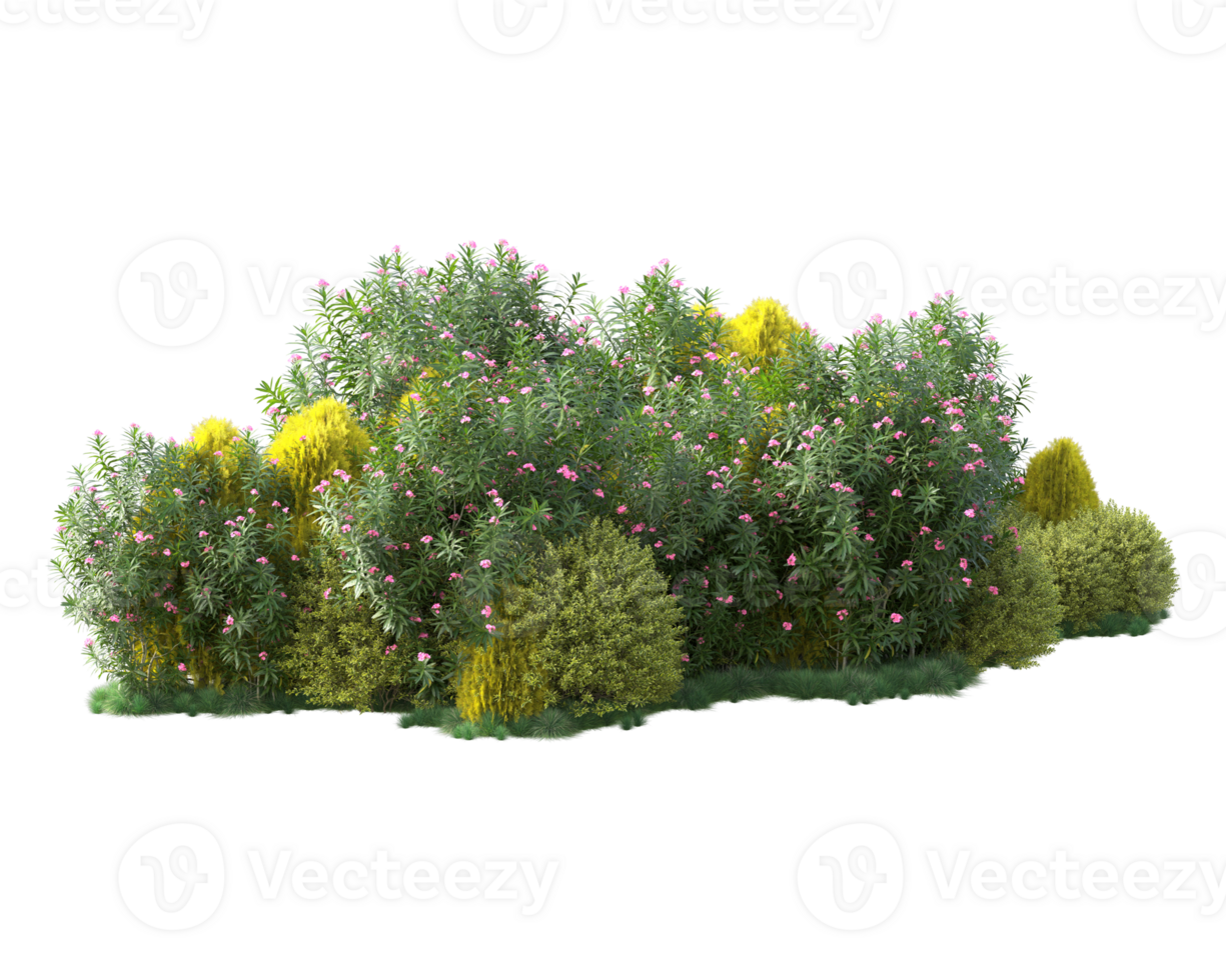 Tropical forest isolated on transparent background. 3d rendering - illustration png