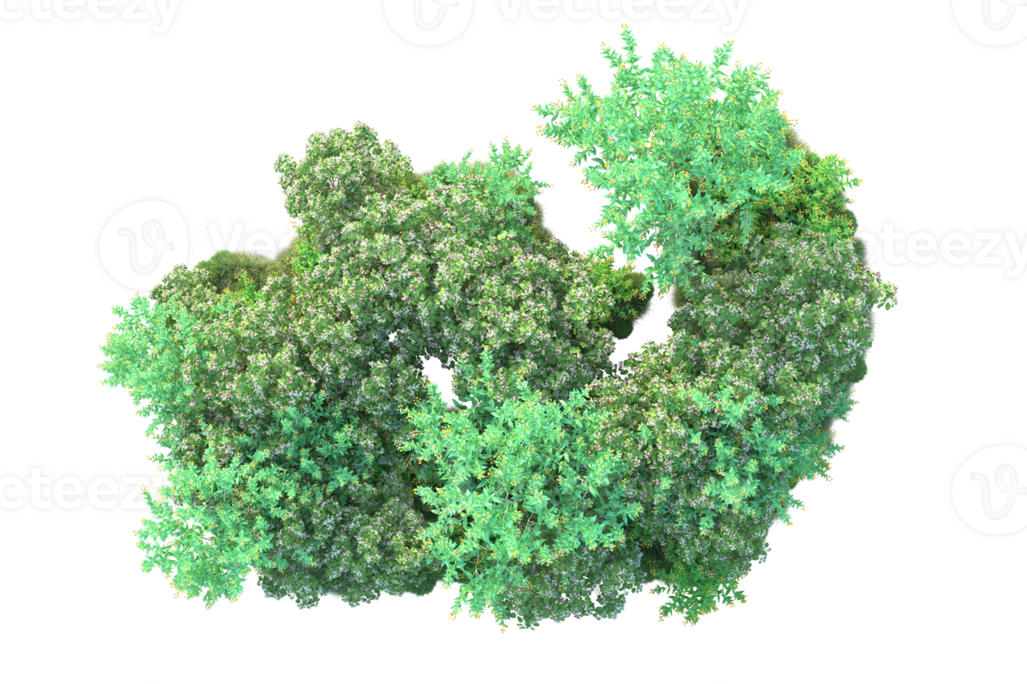 Tropical forest isolated on transparent background. 3d rendering - illustration png