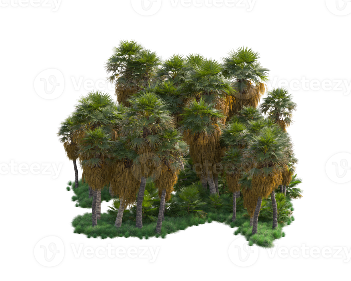 Tropical forest isolated on transparent background. 3d rendering - illustration png