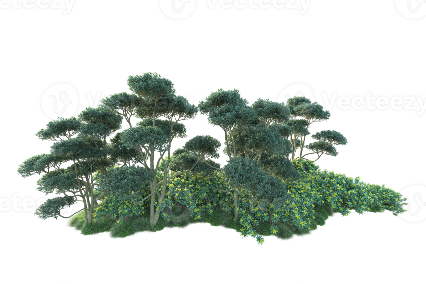 Tropical forest isolated on transparent background. 3d rendering - illustration png