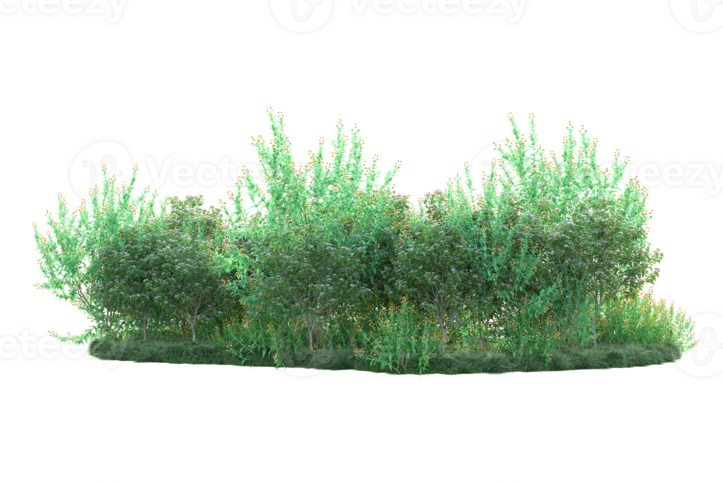 Tropical forest isolated on transparent background. 3d rendering - illustration png