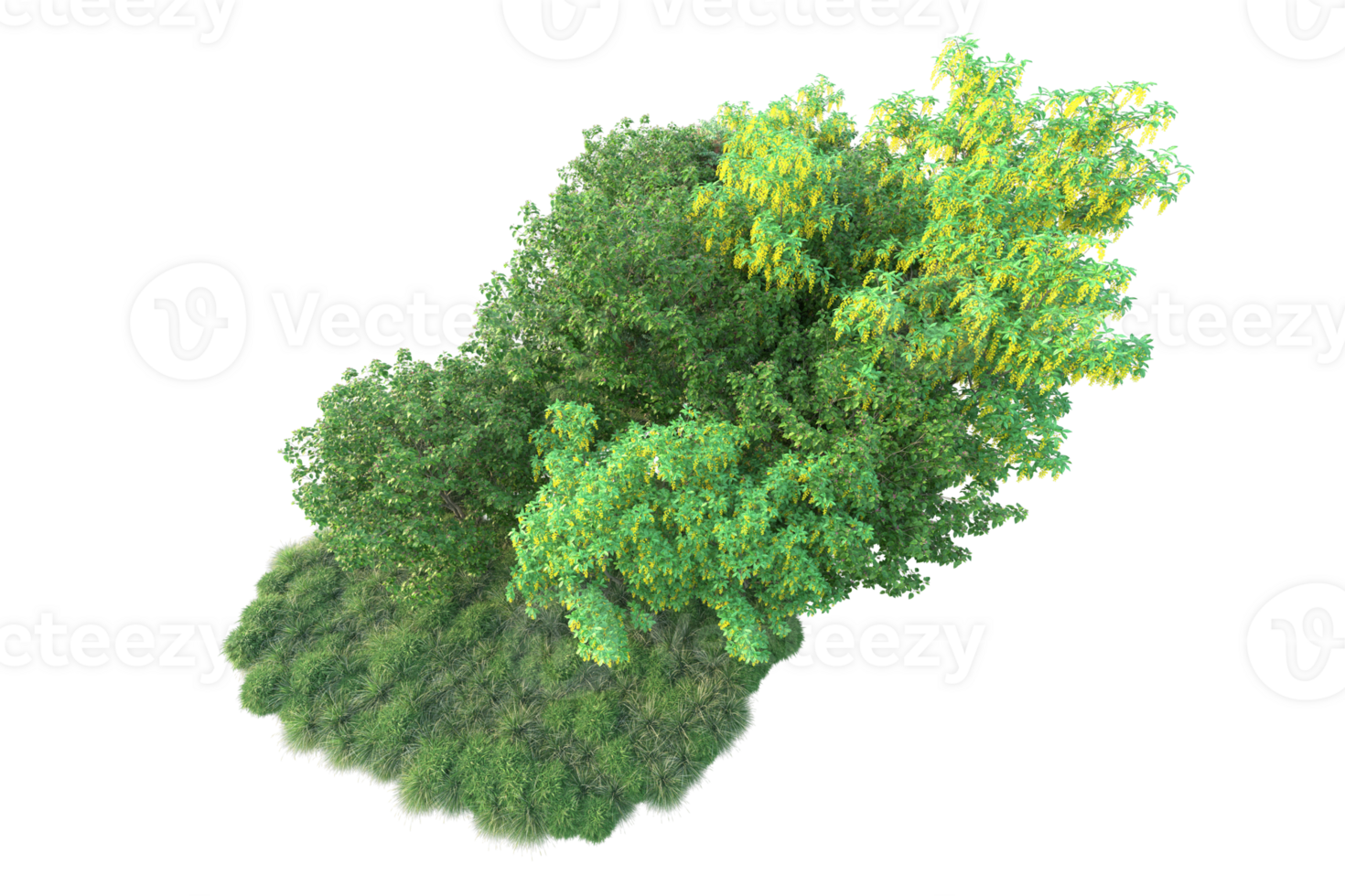 tropicale foresta isolato su trasparente sfondo. 3d interpretazione - illustrazione png