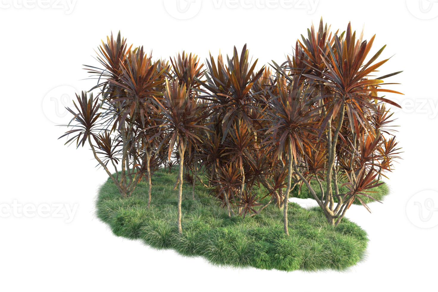 Tropical forest isolated on transparent background. 3d rendering - illustration png