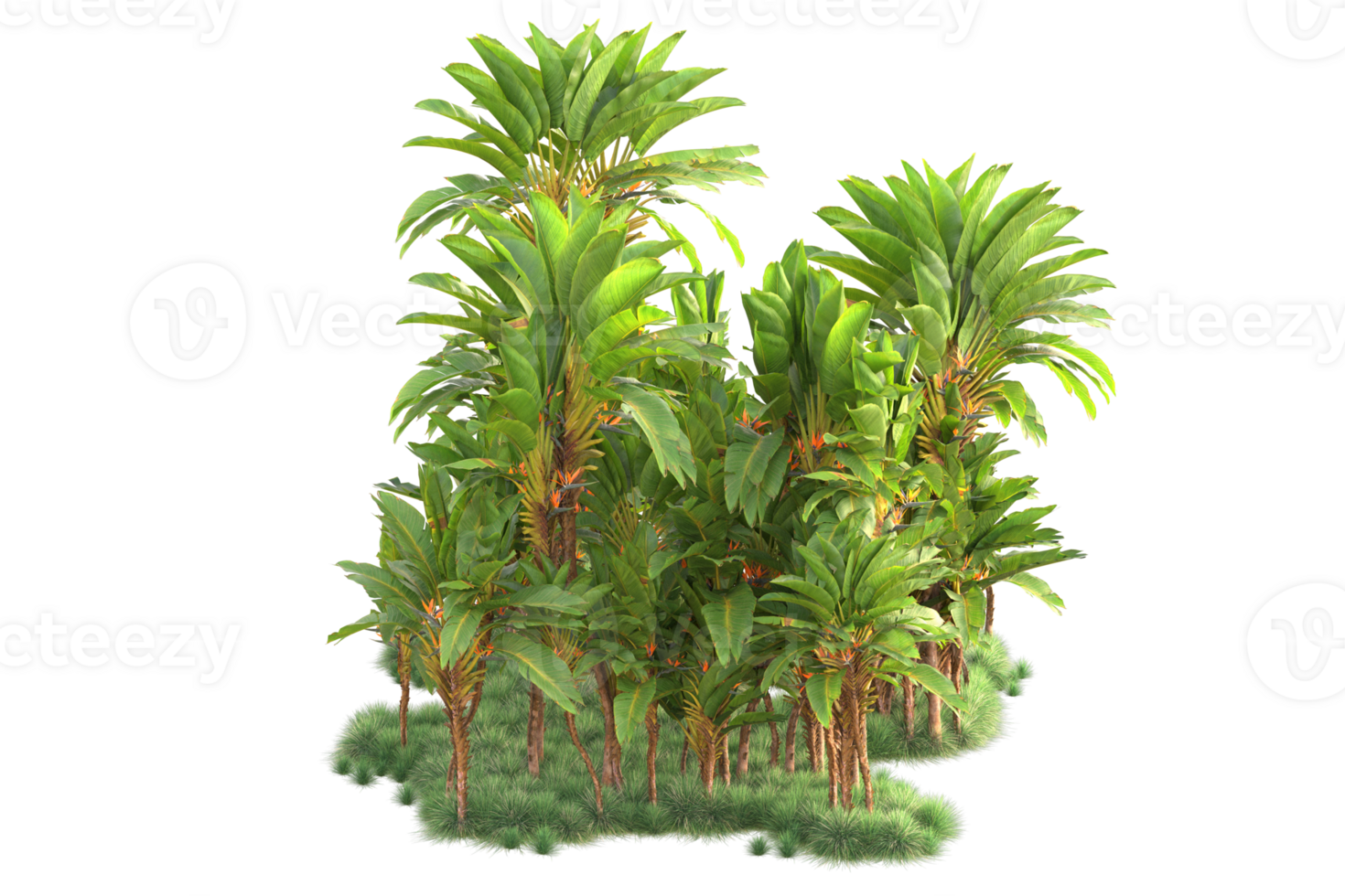 Tropical forest isolated on transparent background. 3d rendering - illustration png