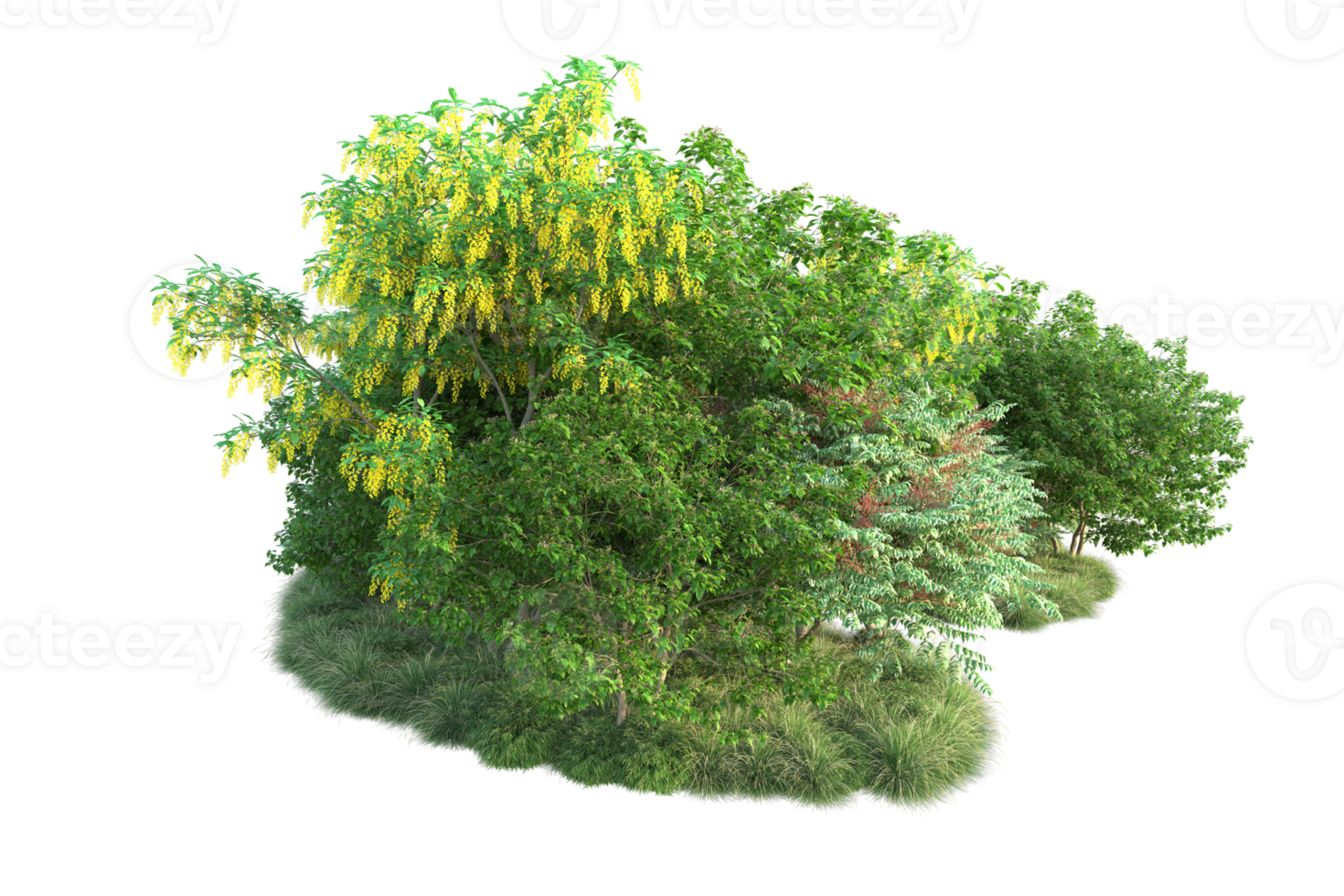 Tropical forest isolated on transparent background. 3d rendering - illustration png