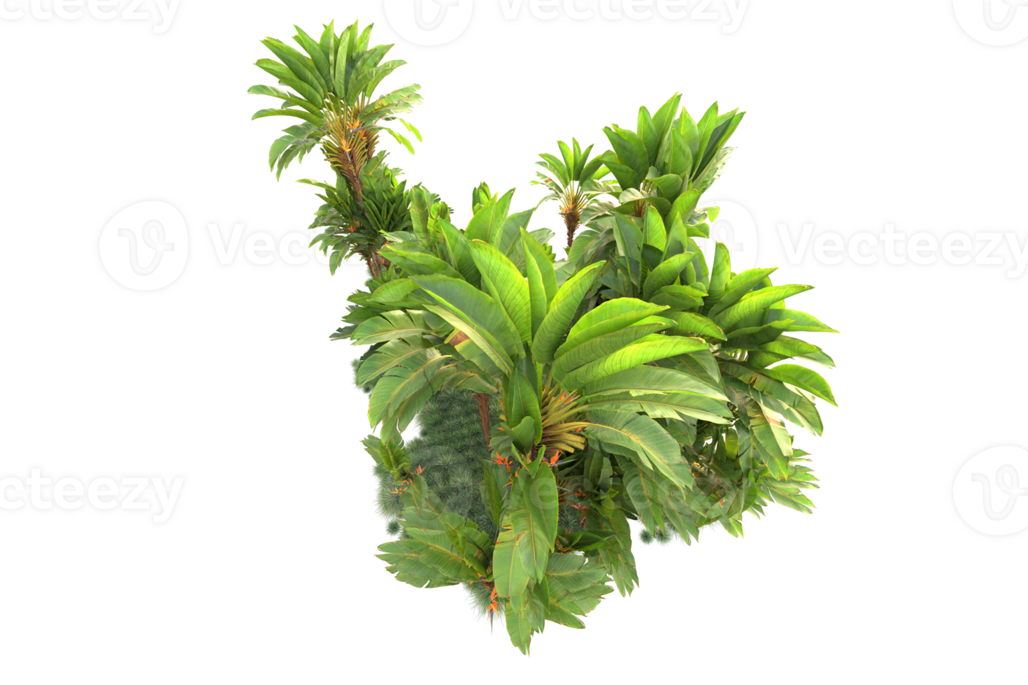 Tropical forest isolated on transparent background. 3d rendering - illustration png