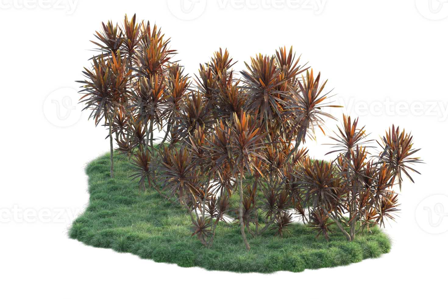 Tropical forest isolated on transparent background. 3d rendering - illustration png