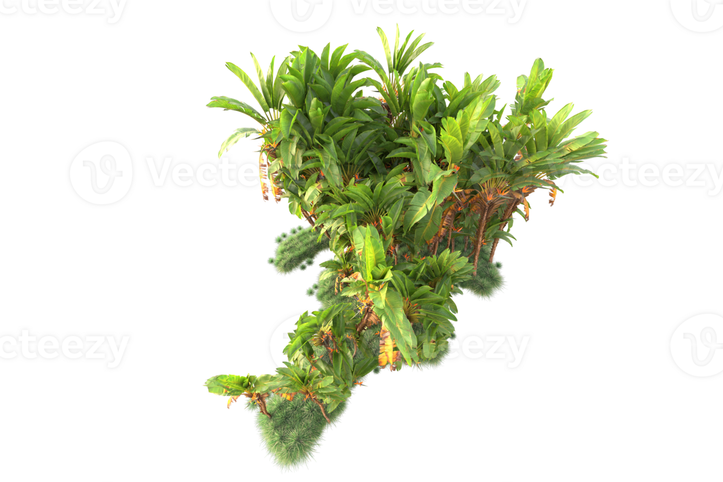 Tropical forest isolated on transparent background. 3d rendering - illustration png