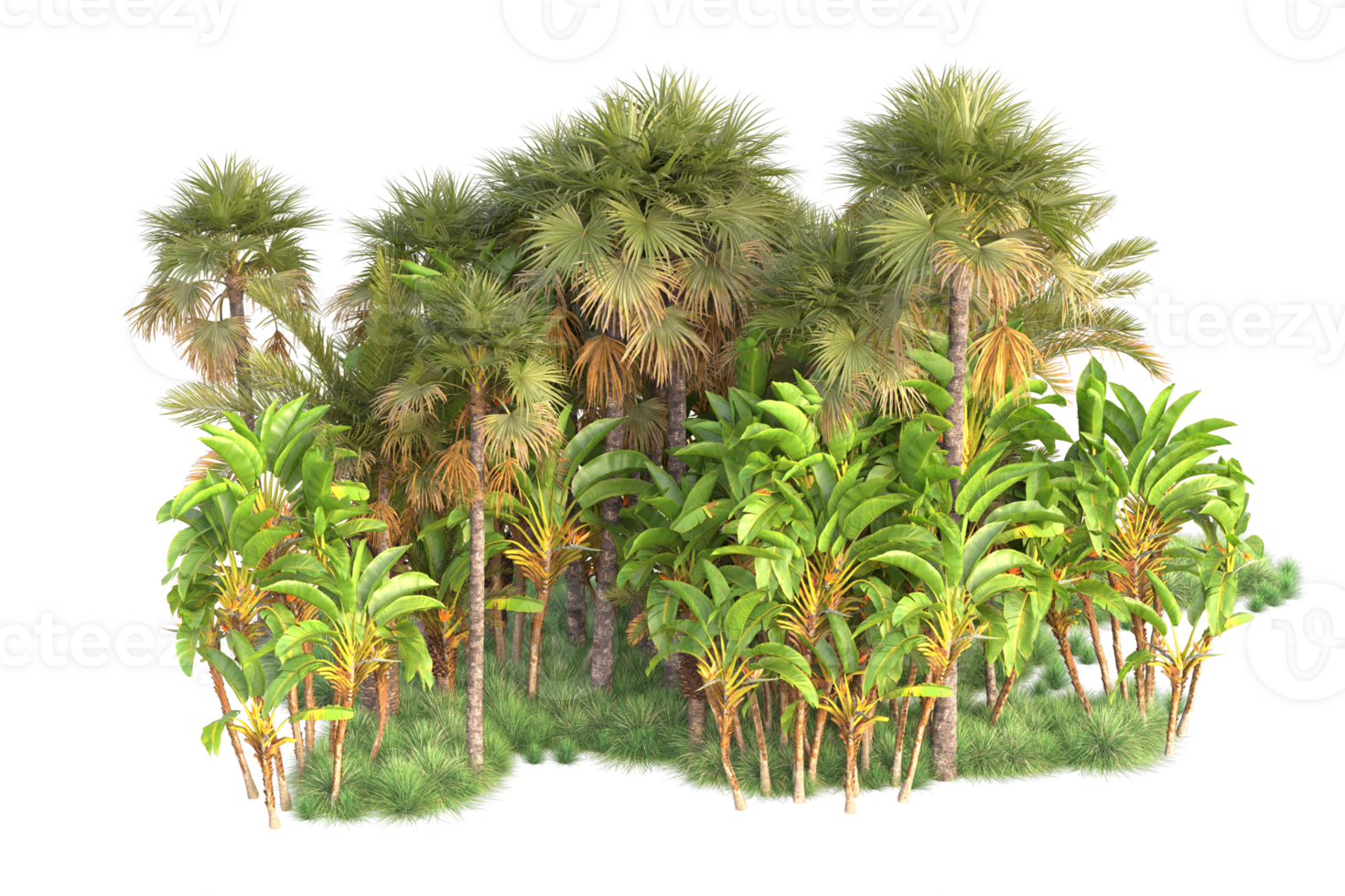 Tropical forest isolated on transparent background. 3d rendering - illustration png
