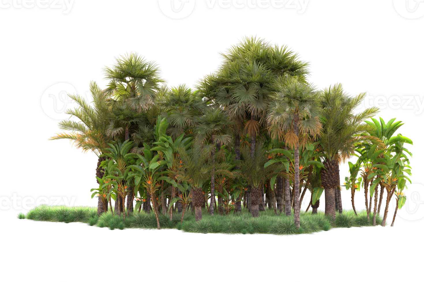 Tropical forest isolated on transparent background. 3d rendering - illustration png