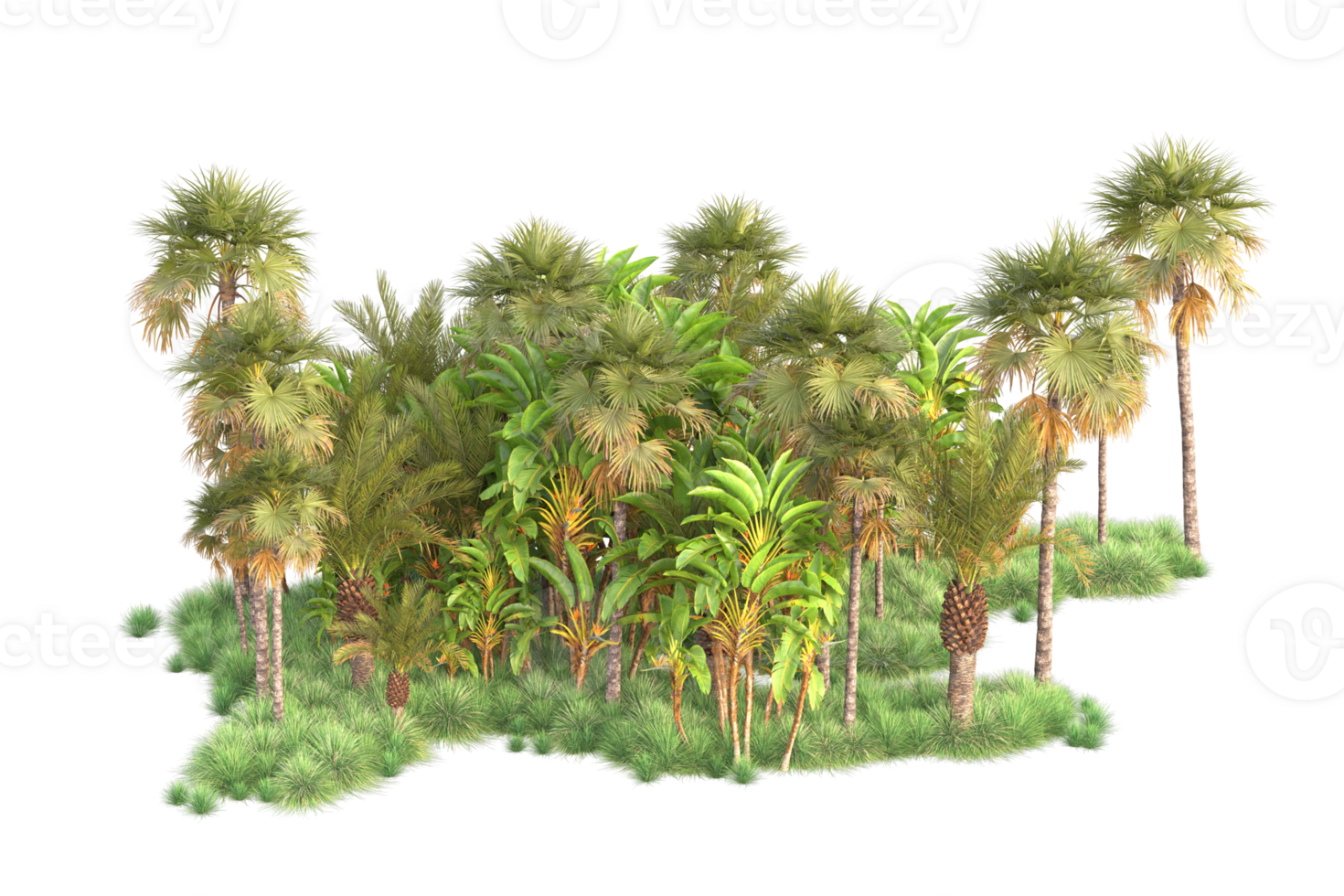 Tropical forest isolated on transparent background. 3d rendering - illustration png