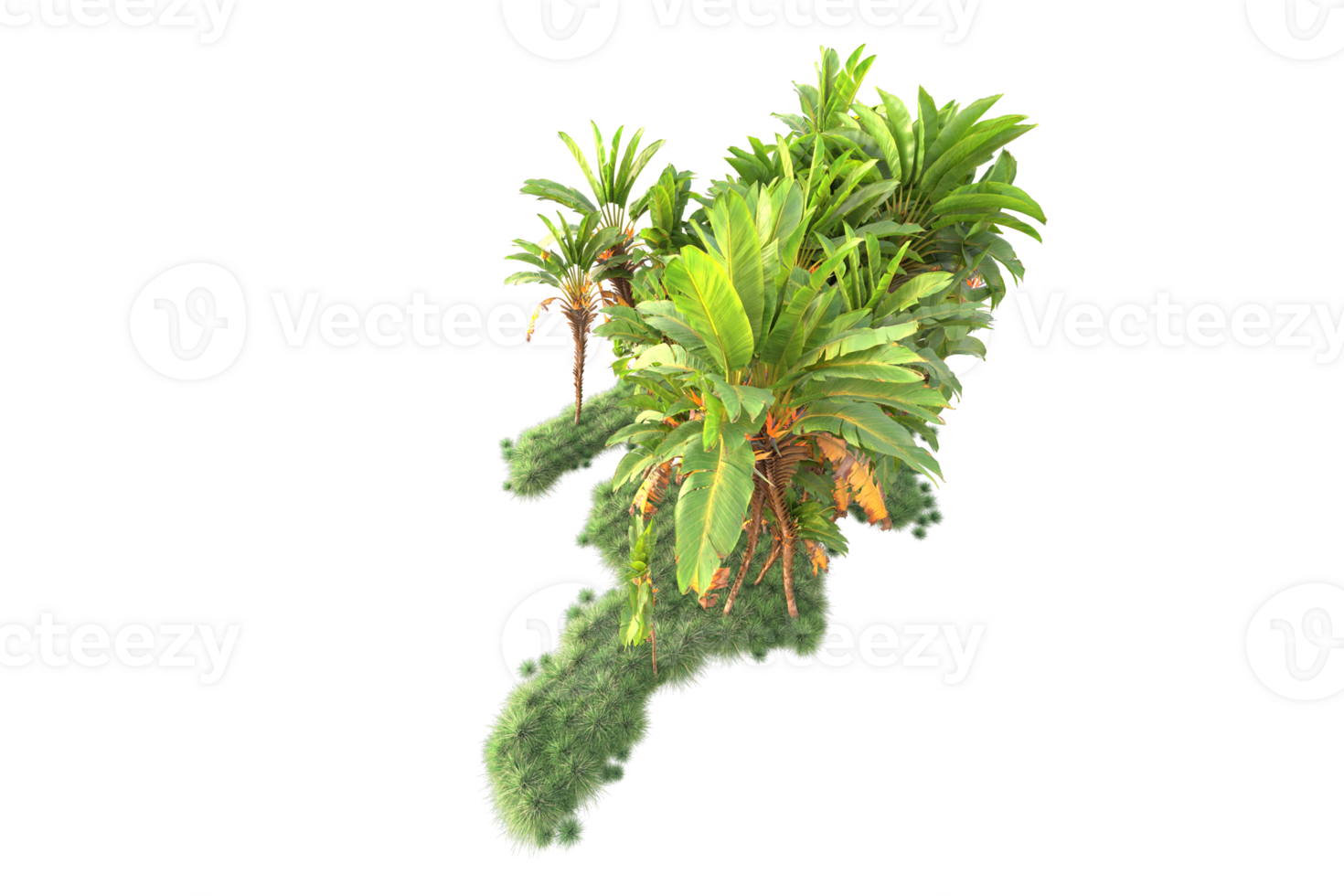 Tropical forest isolated on transparent background. 3d rendering - illustration png
