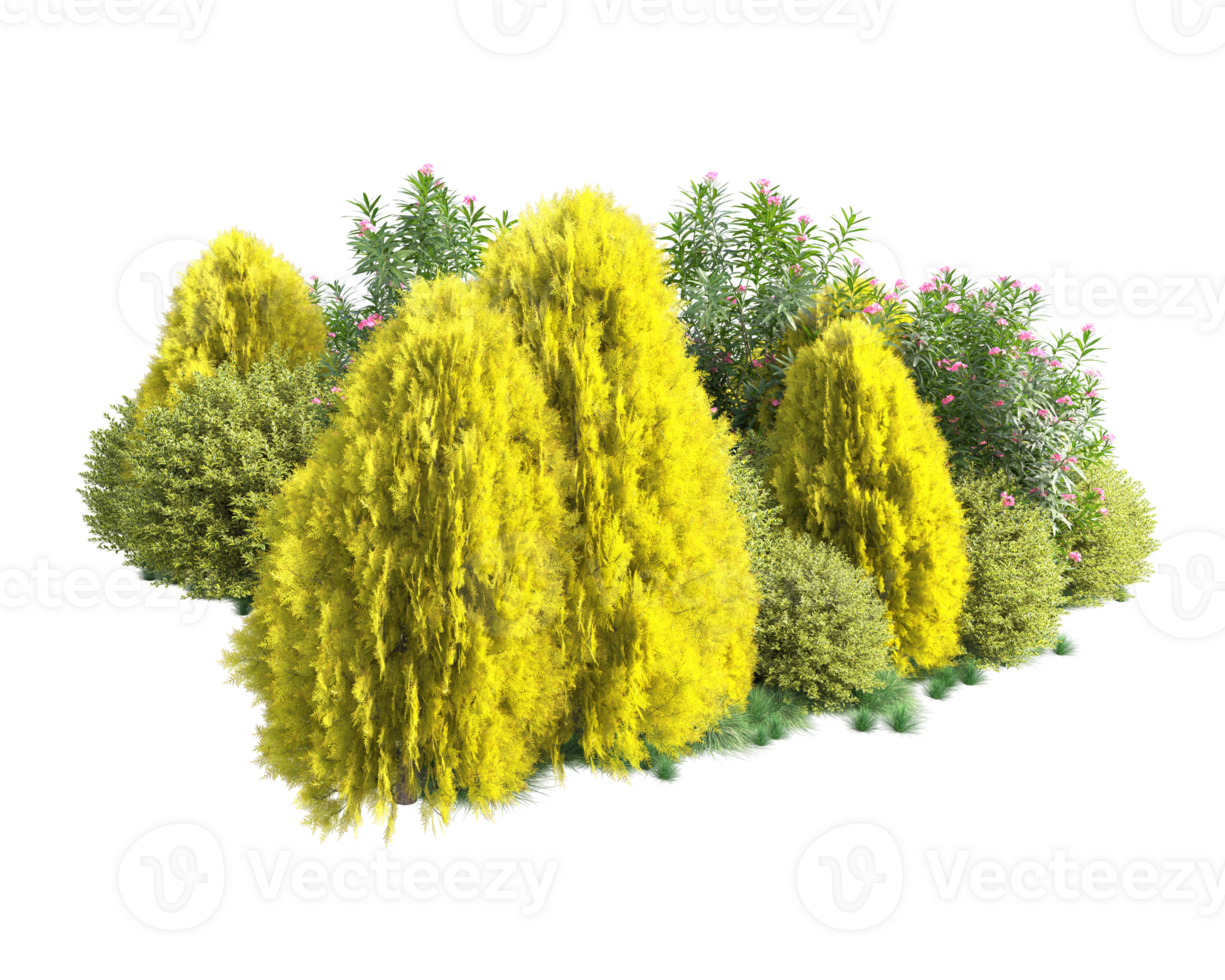 Tropical forest isolated on transparent background. 3d rendering - illustration png