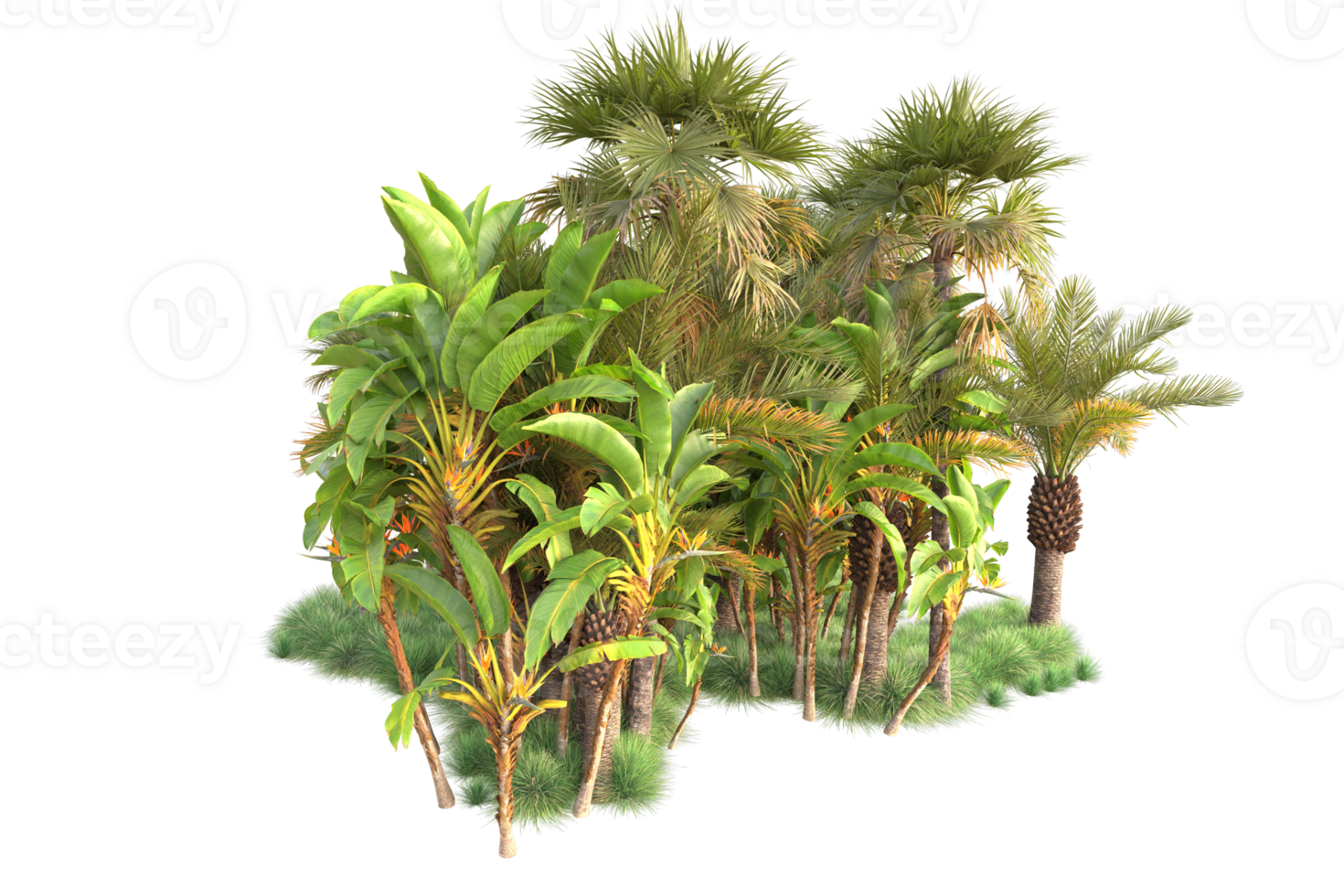 Tropical forest isolated on transparent background. 3d rendering - illustration png