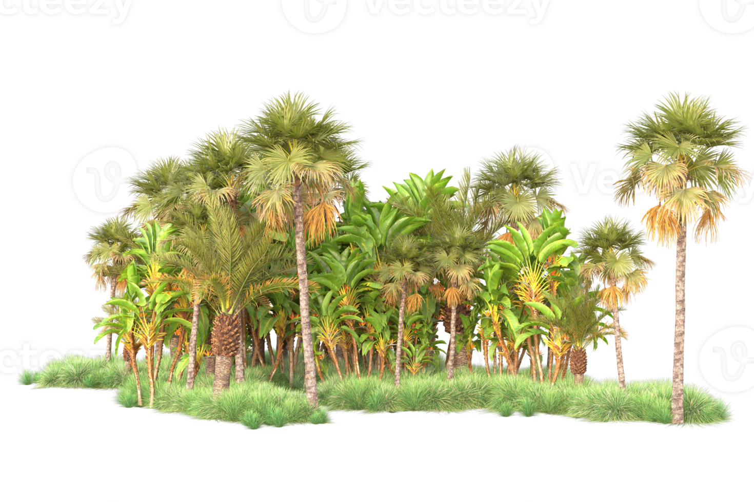 Tropical forest isolated on transparent background. 3d rendering - illustration png