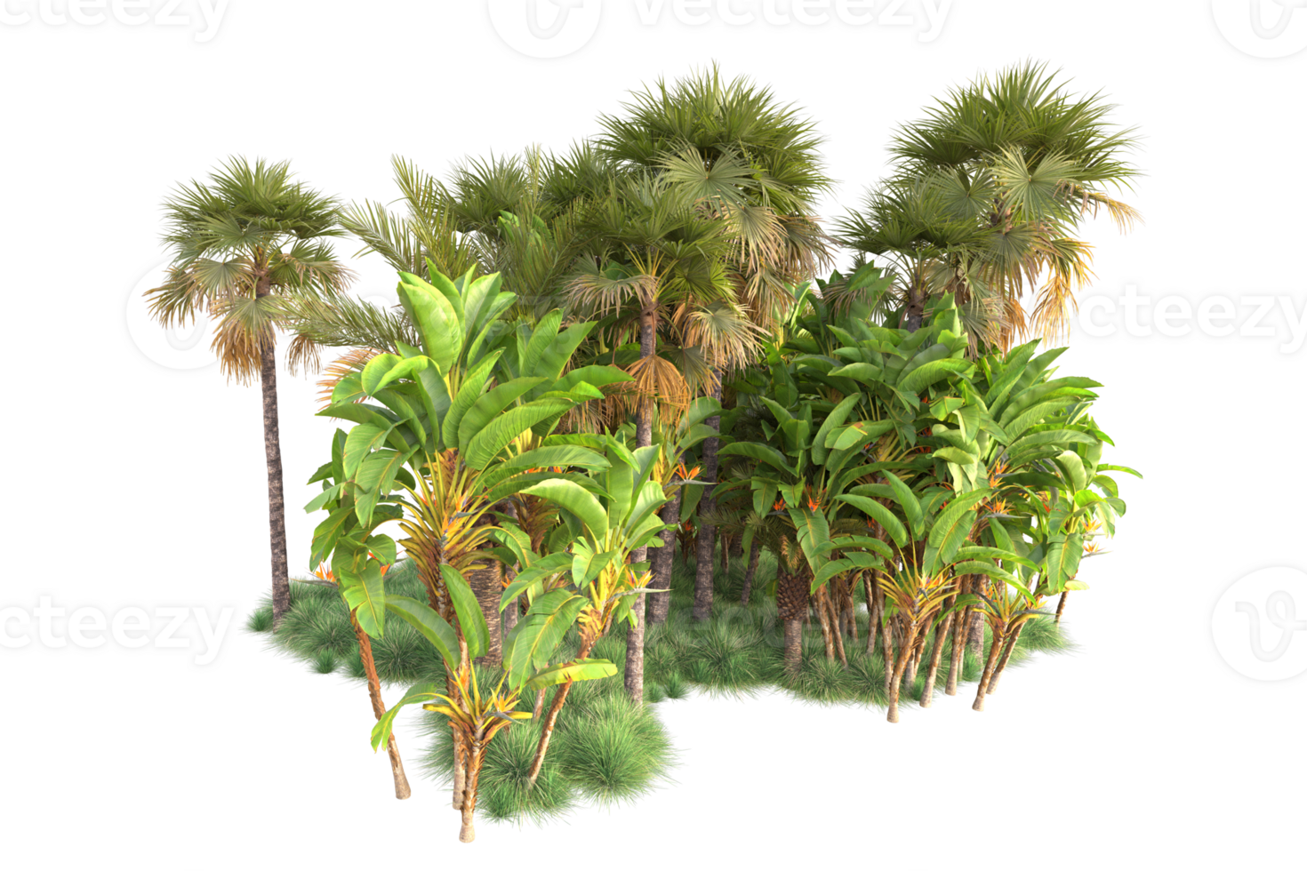 Tropical forest isolated on transparent background. 3d rendering - illustration png
