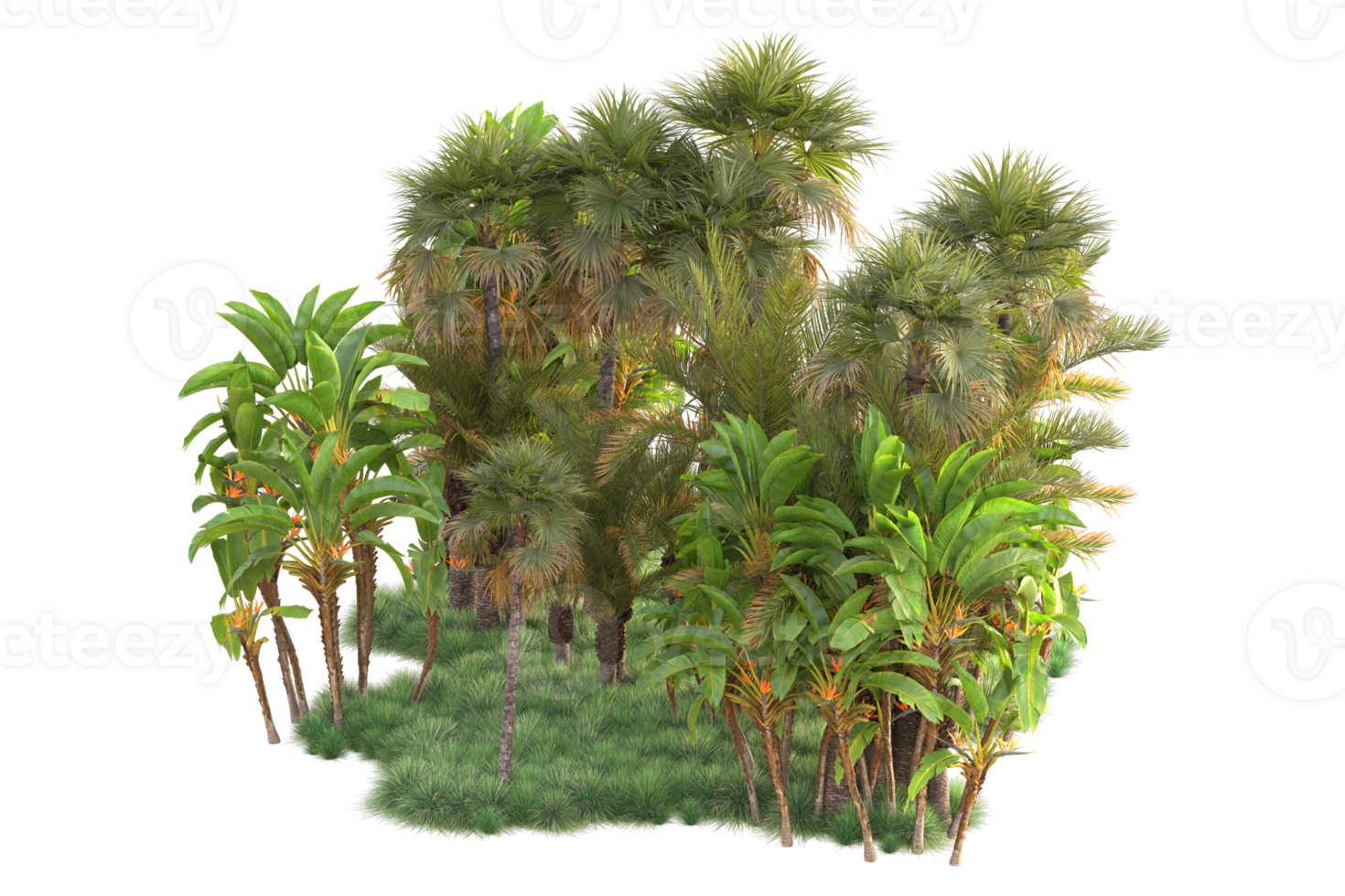 Tropical forest isolated on transparent background. 3d rendering - illustration png