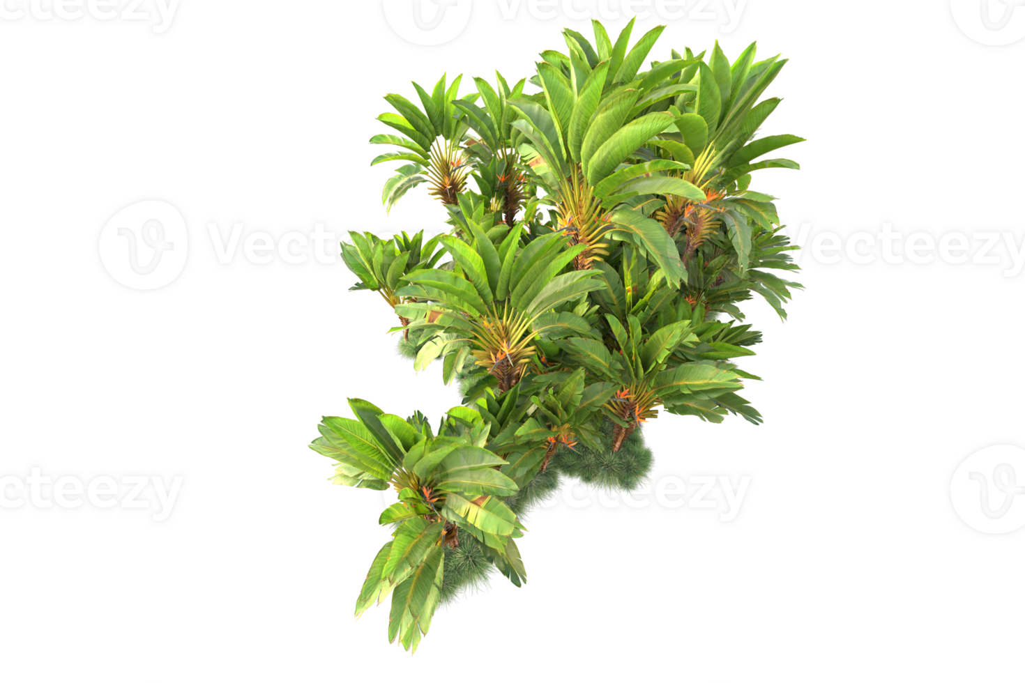 Tropical forest isolated on transparent background. 3d rendering - illustration png