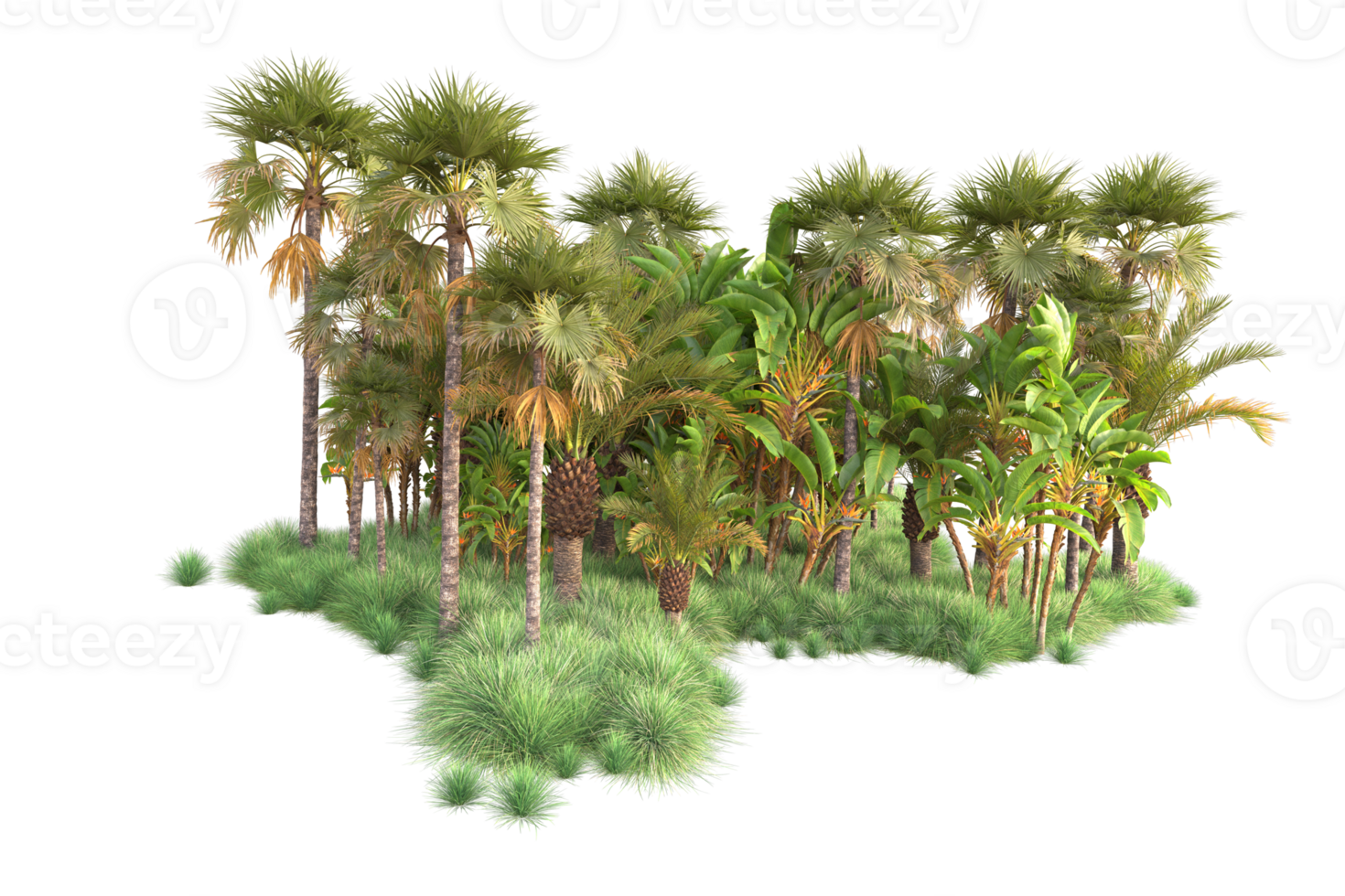 Tropical forest isolated on transparent background. 3d rendering - illustration png