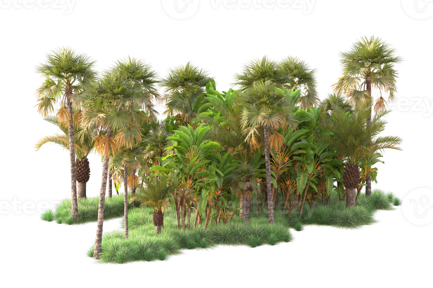 Tropical forest isolated on transparent background. 3d rendering - illustration png