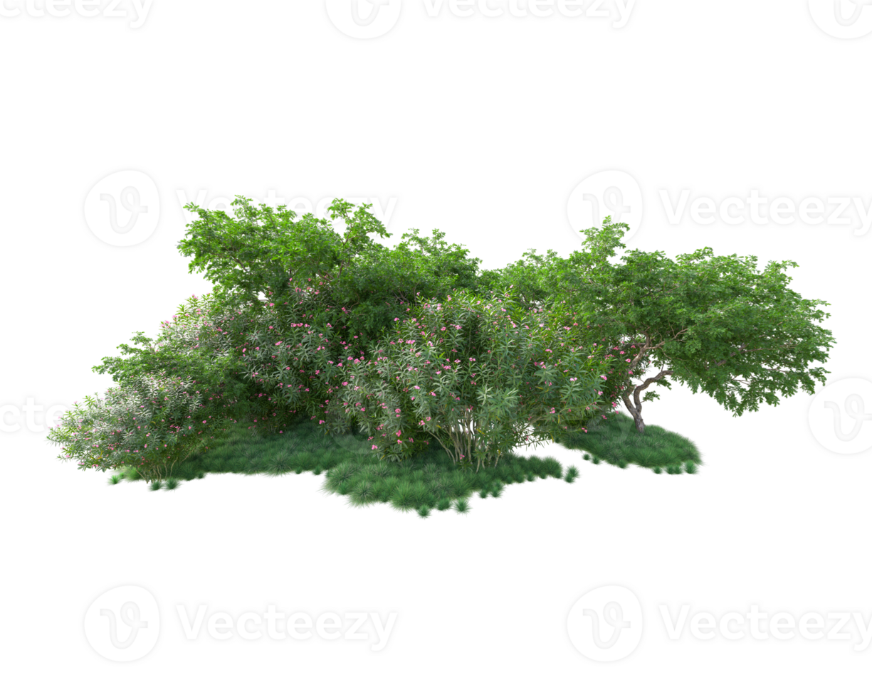Tropical forest isolated on transparent background. 3d rendering - illustration png