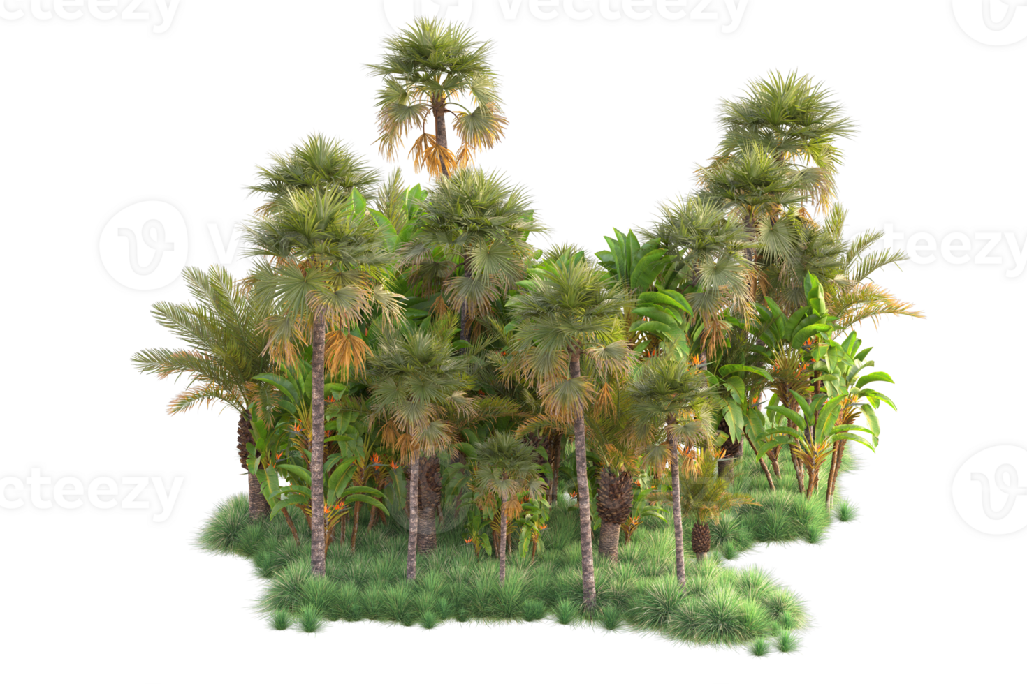 Tropical forest isolated on transparent background. 3d rendering - illustration png