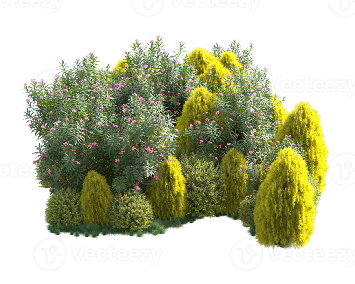 Tropical forest isolated on transparent background. 3d rendering - illustration png