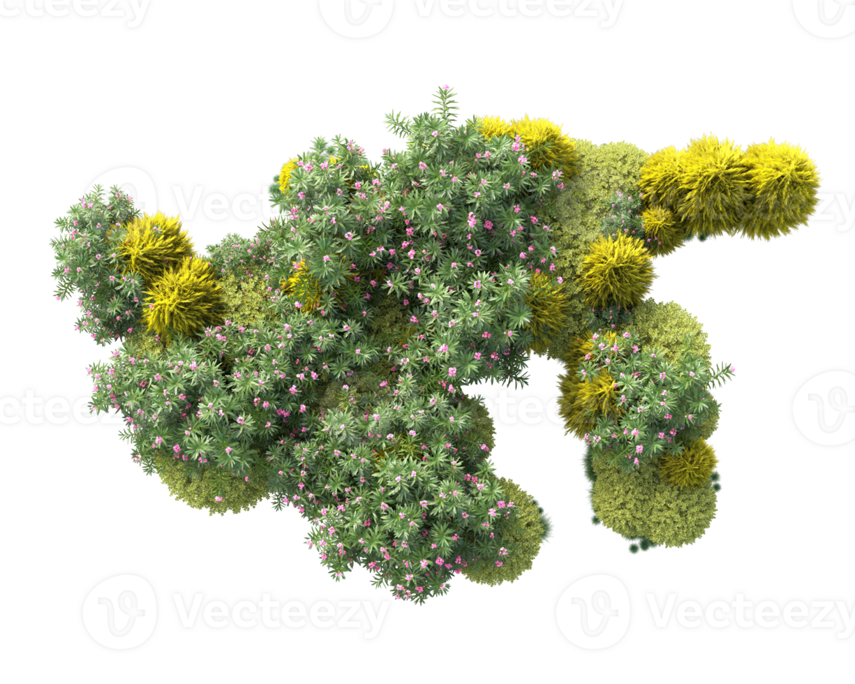 Tropical forest isolated on transparent background. 3d rendering - illustration png